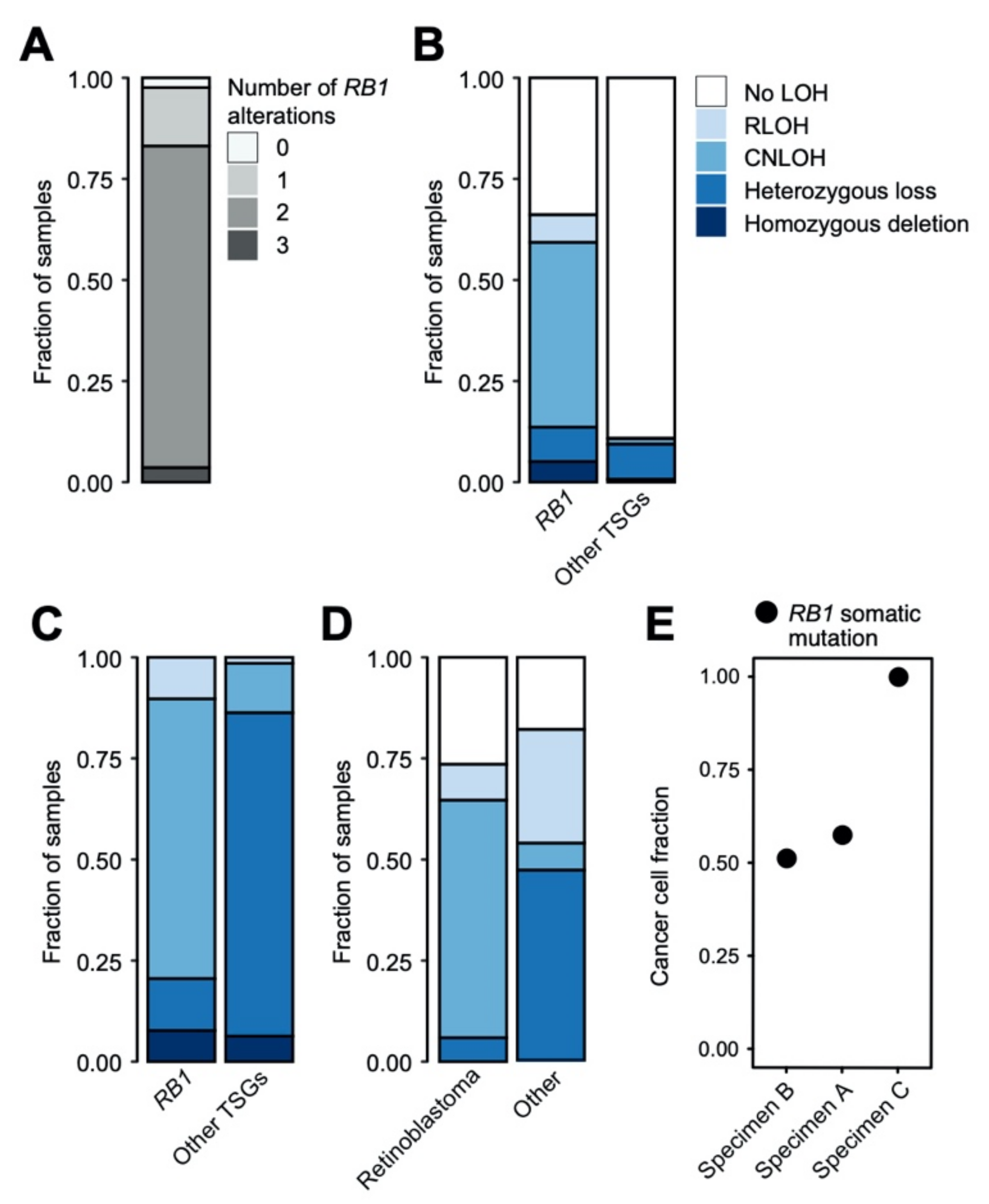 Cancers 13 00149 g002