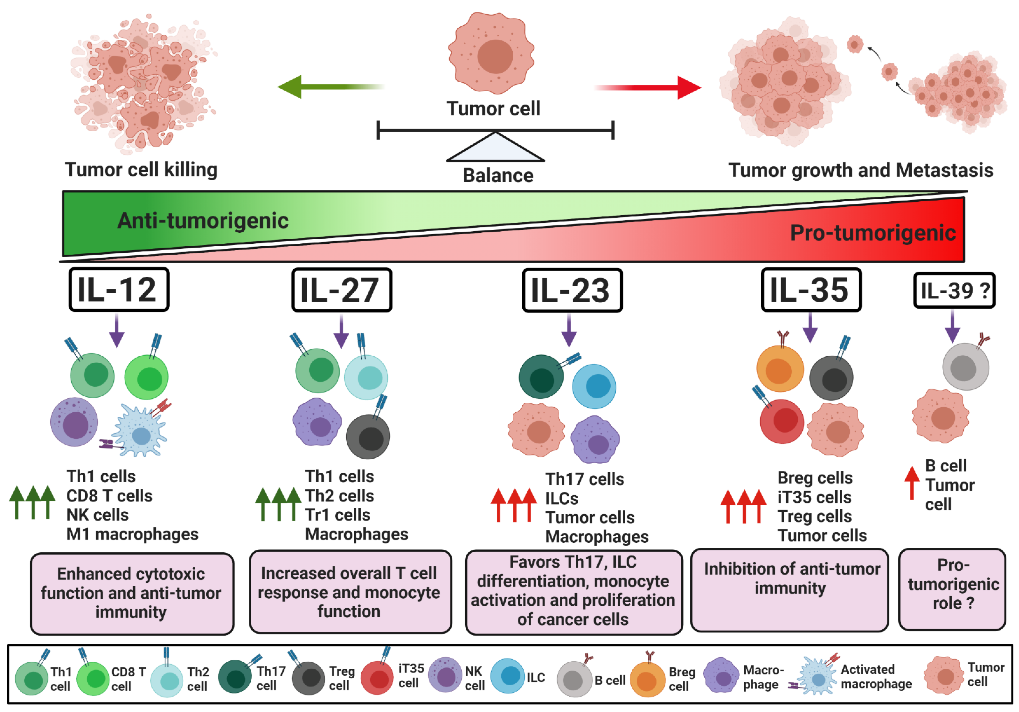 Cancers Free Full Text Il 12 Family Cytokines In Cancer And Immunotherapy Html