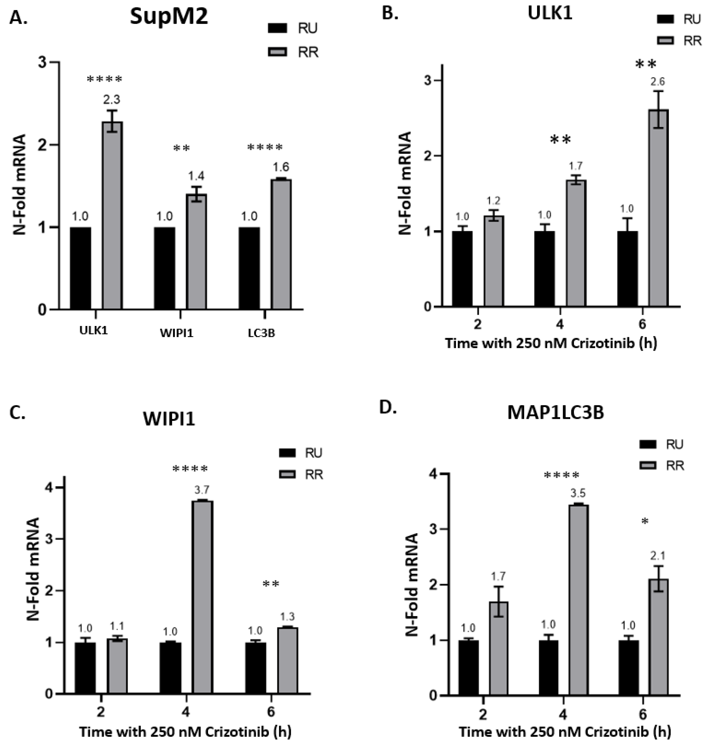 Cancers 13 00181 g002 Cancers 13 00181 g002