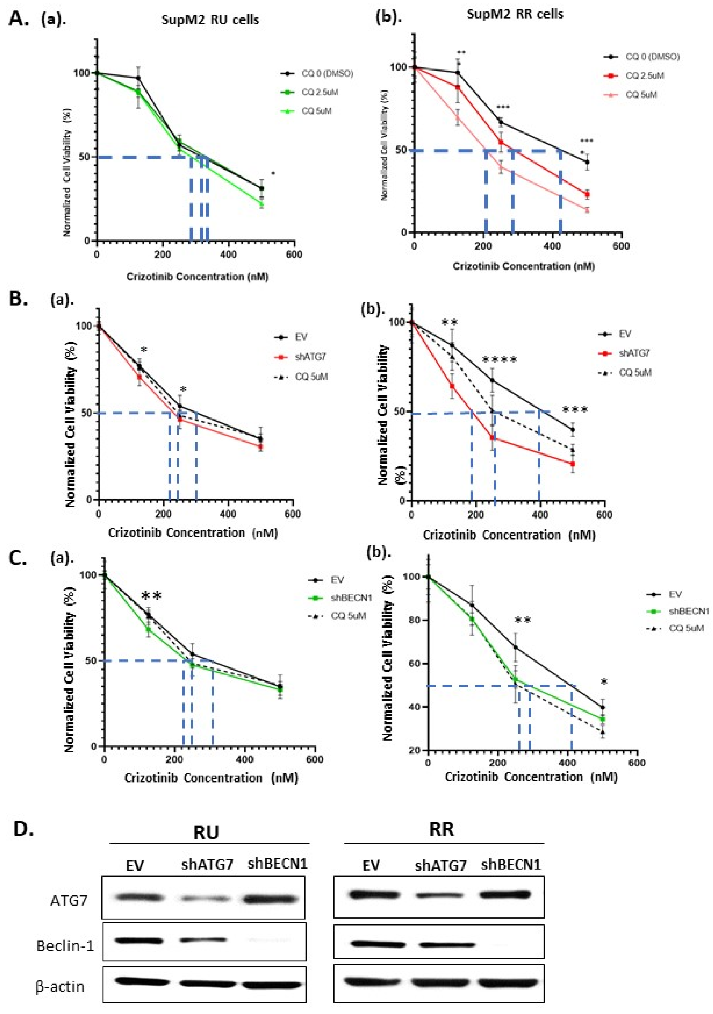 Cancers 13 00181 g003 Cancers 13 00181 g003