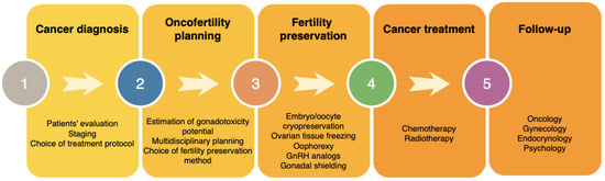 Fertility and cancer survivors: Medicine's growing pains