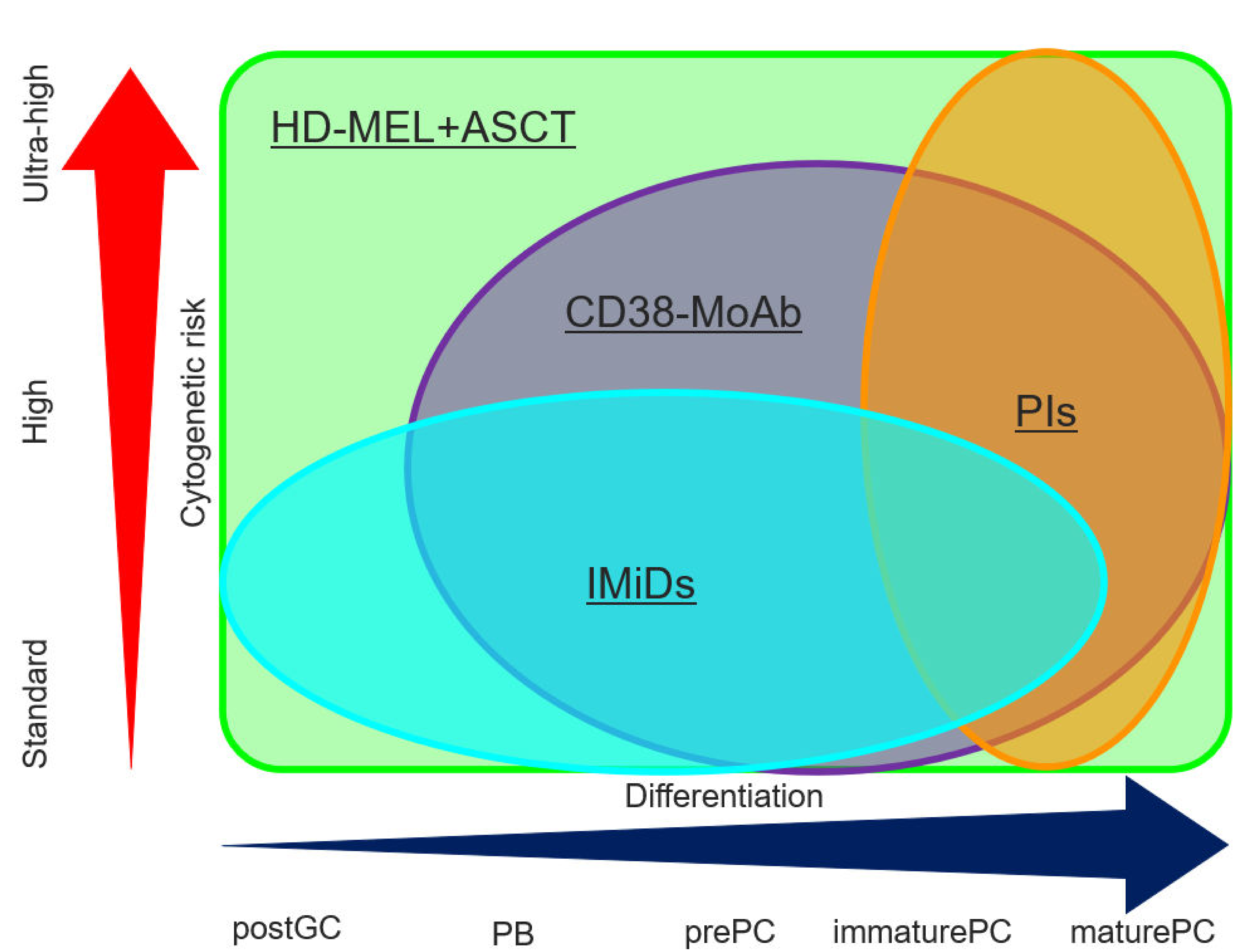 Cancers 13 00215 g002