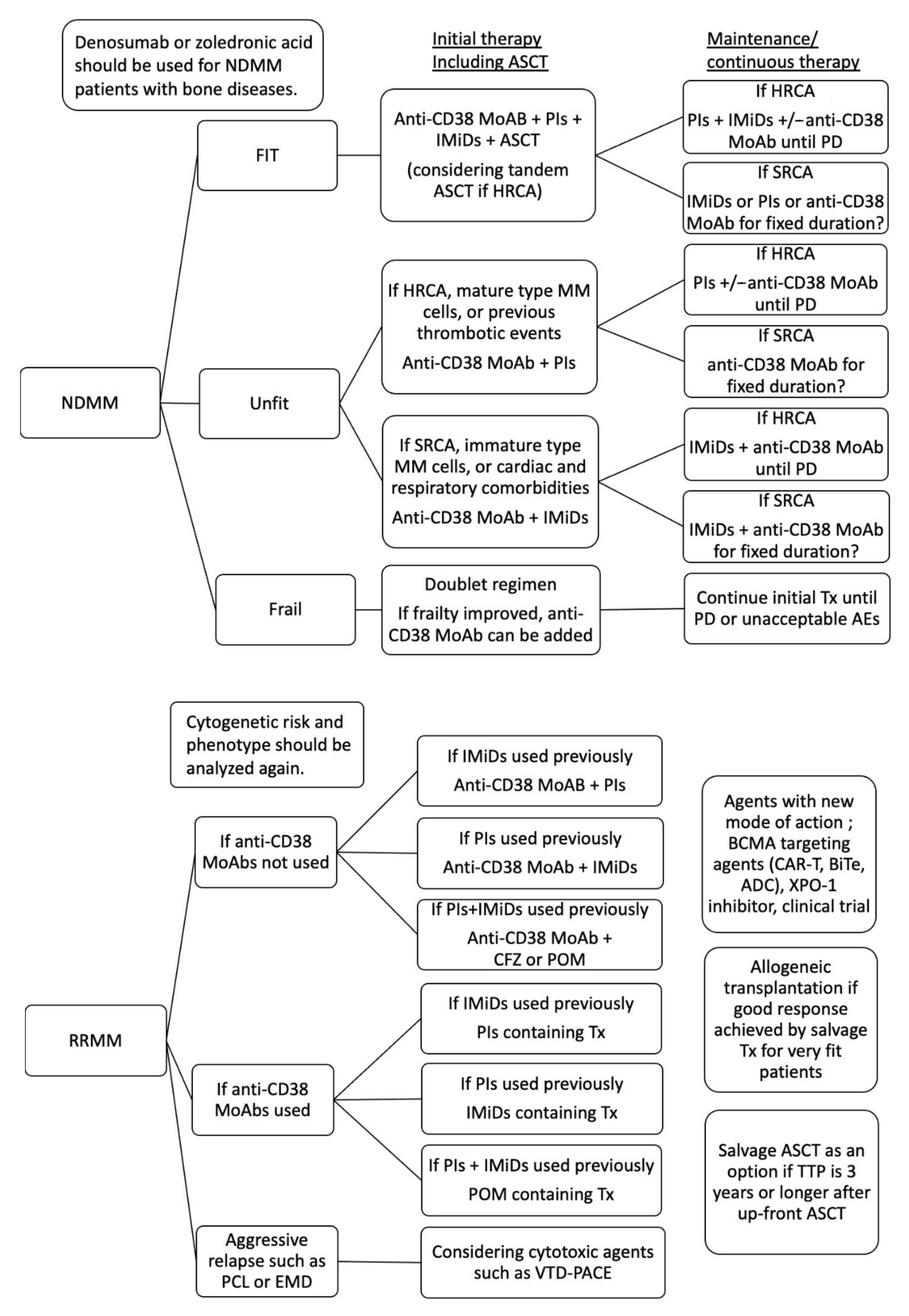 Cancers 13 00215 g003