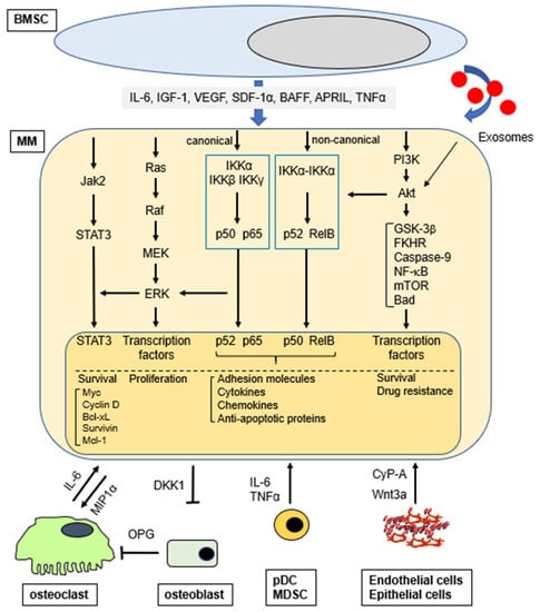 Frontiers  Genetic Evaluation of Growth and Survival-Related