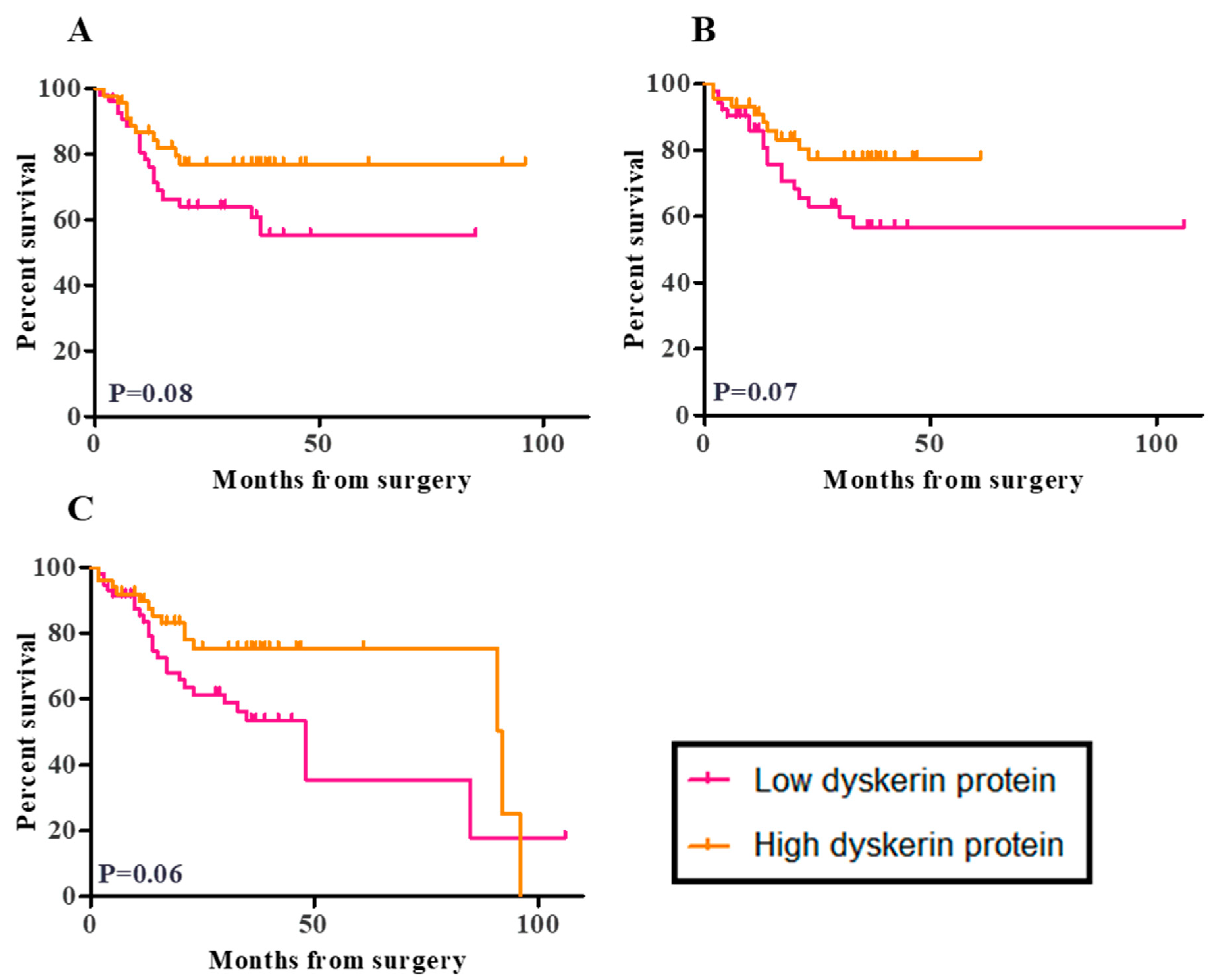 Cancers 13 00273 g005 Cancers 13 00273 g005