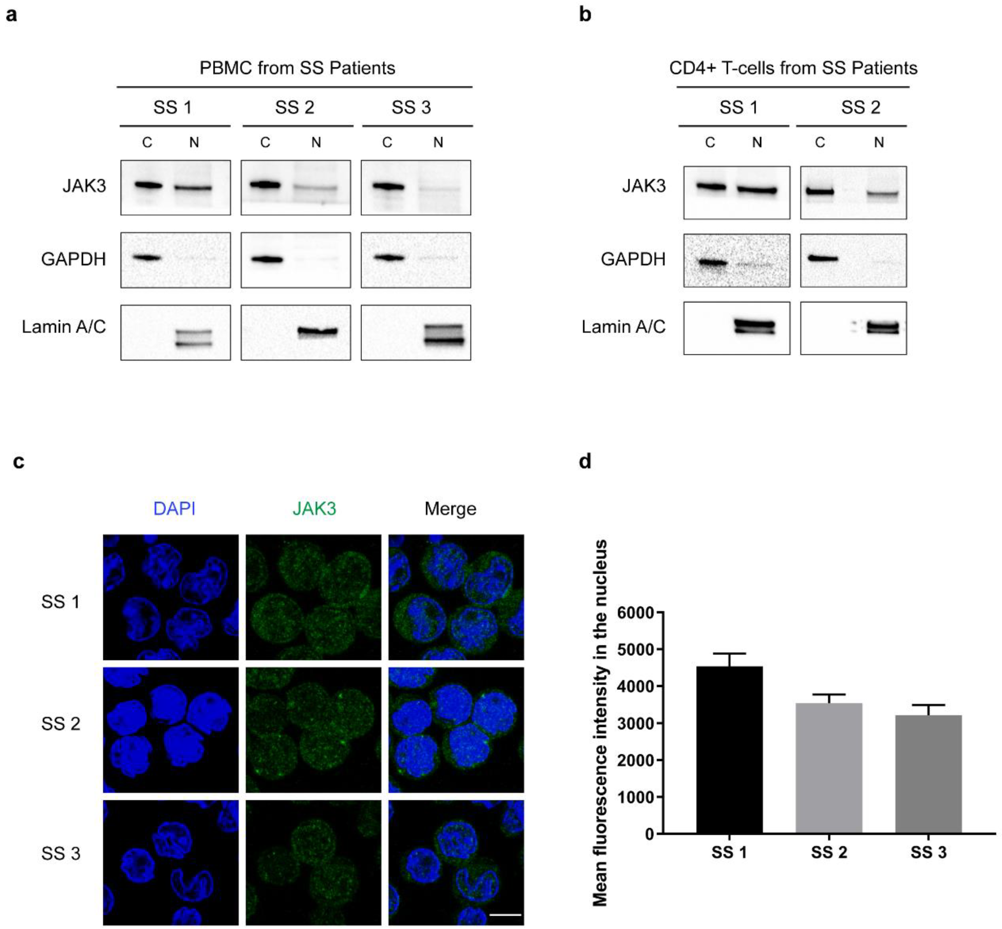 Cancers 13 00280 g002
