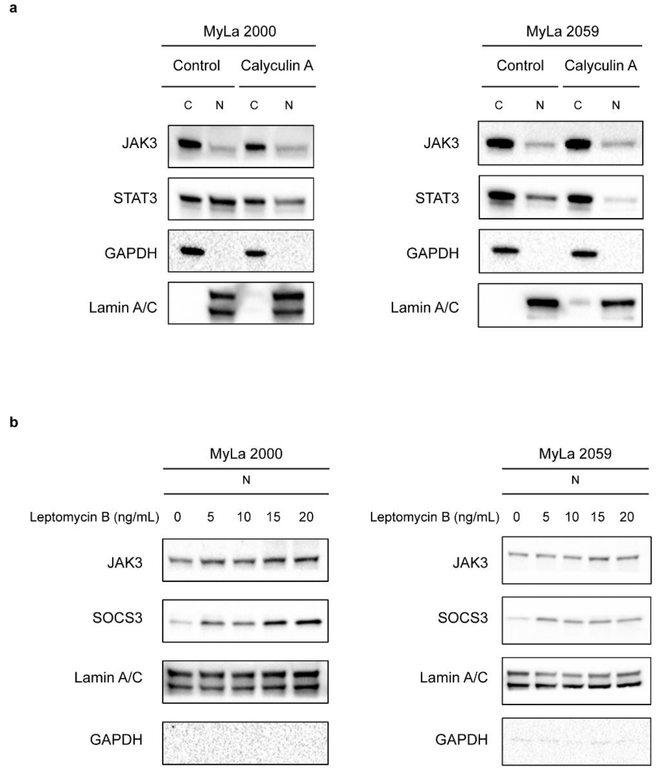 Cancers 13 00280 g004