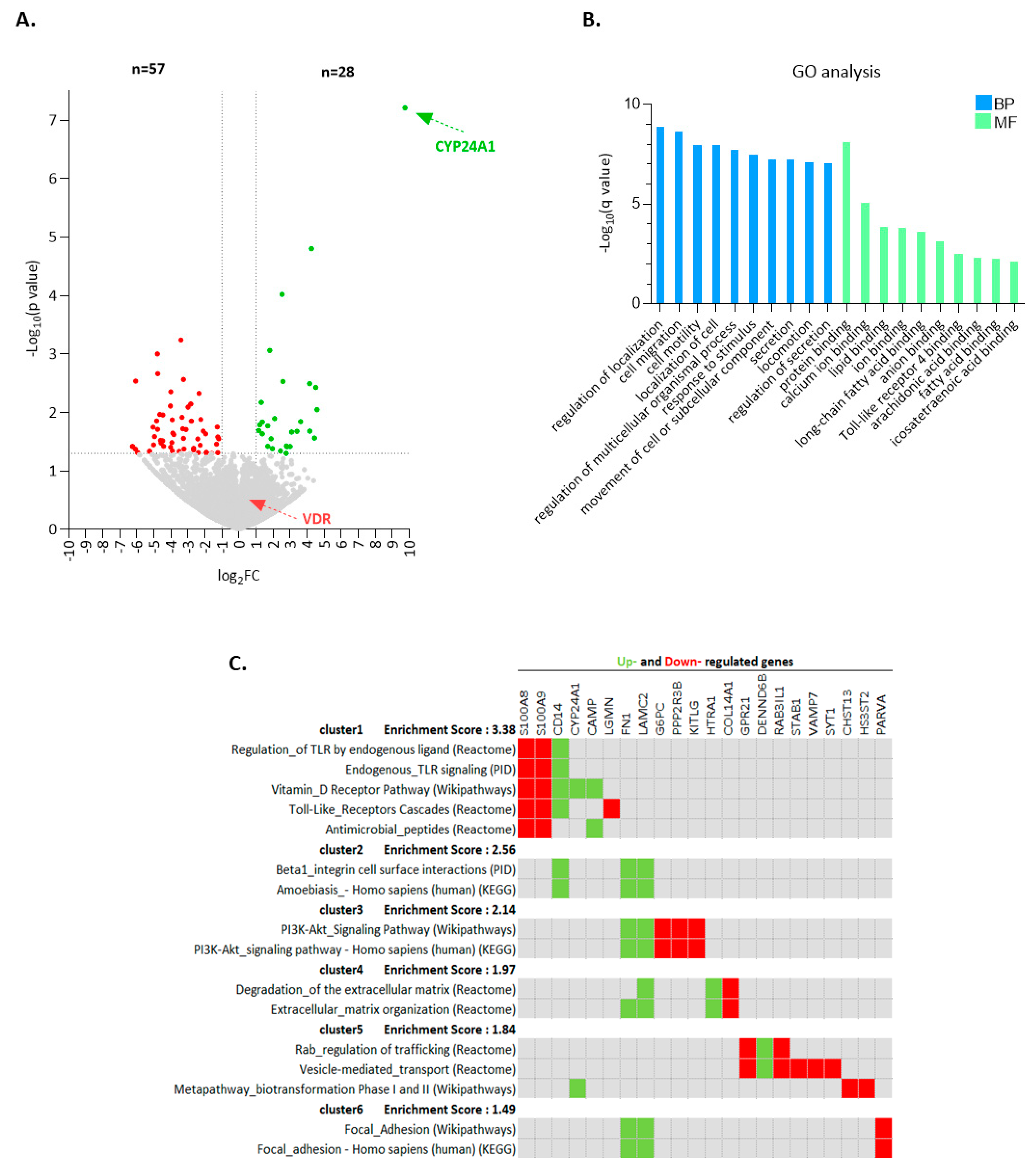 Cancers 13 00285 g002 Cancers 13 00285 g002