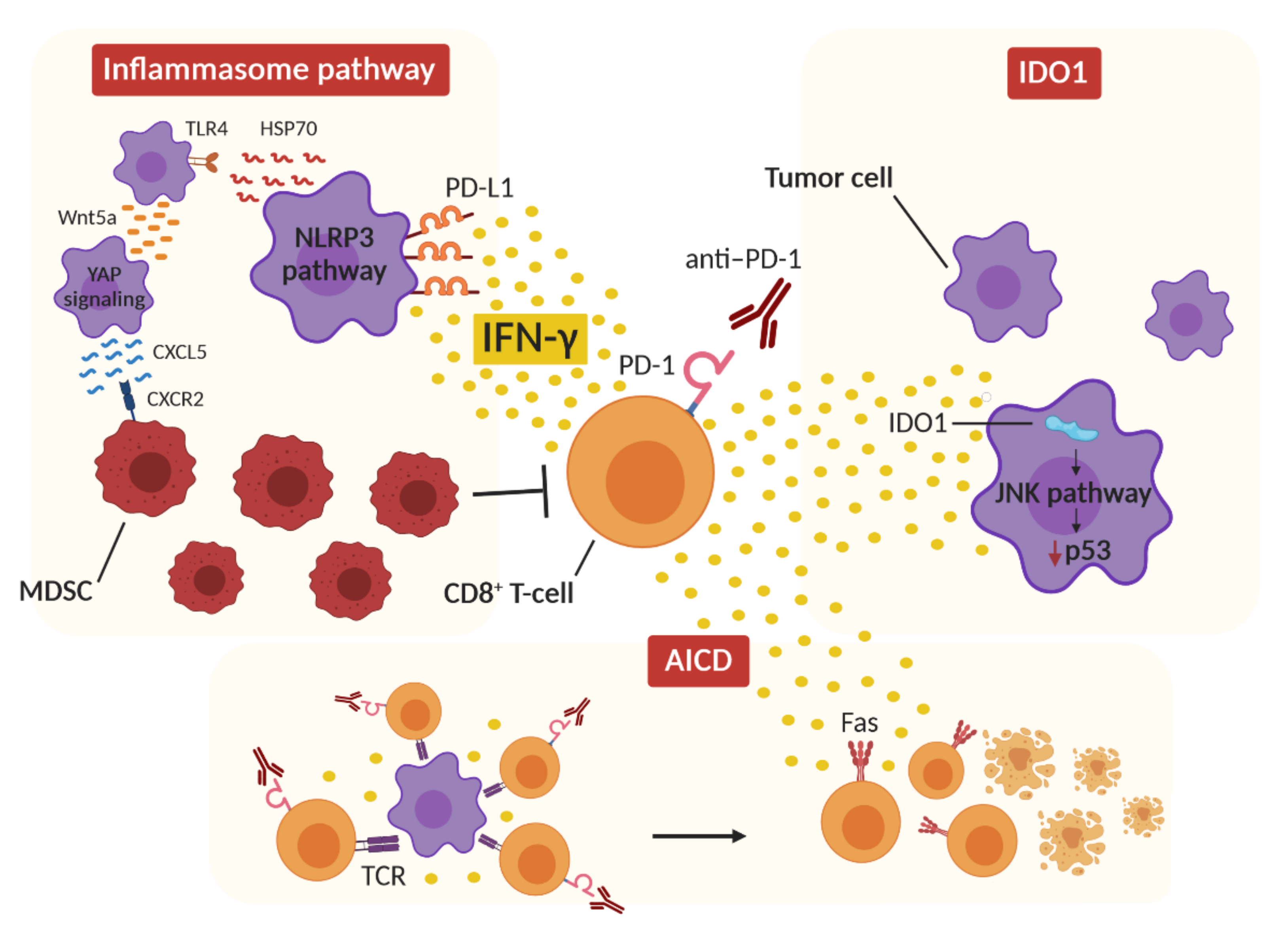 Cancers 13 00309 g002