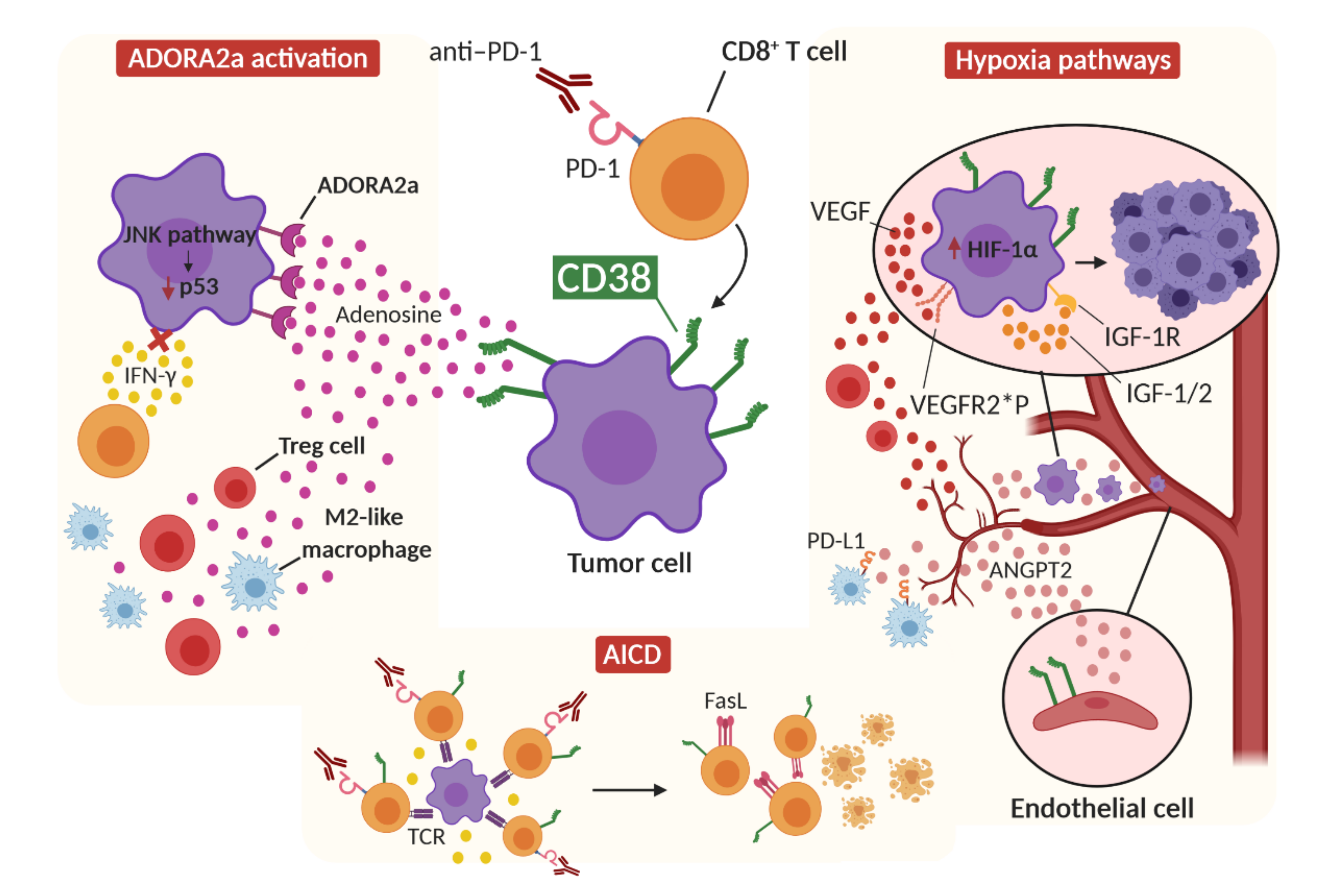 Cancers 13 00309 g003