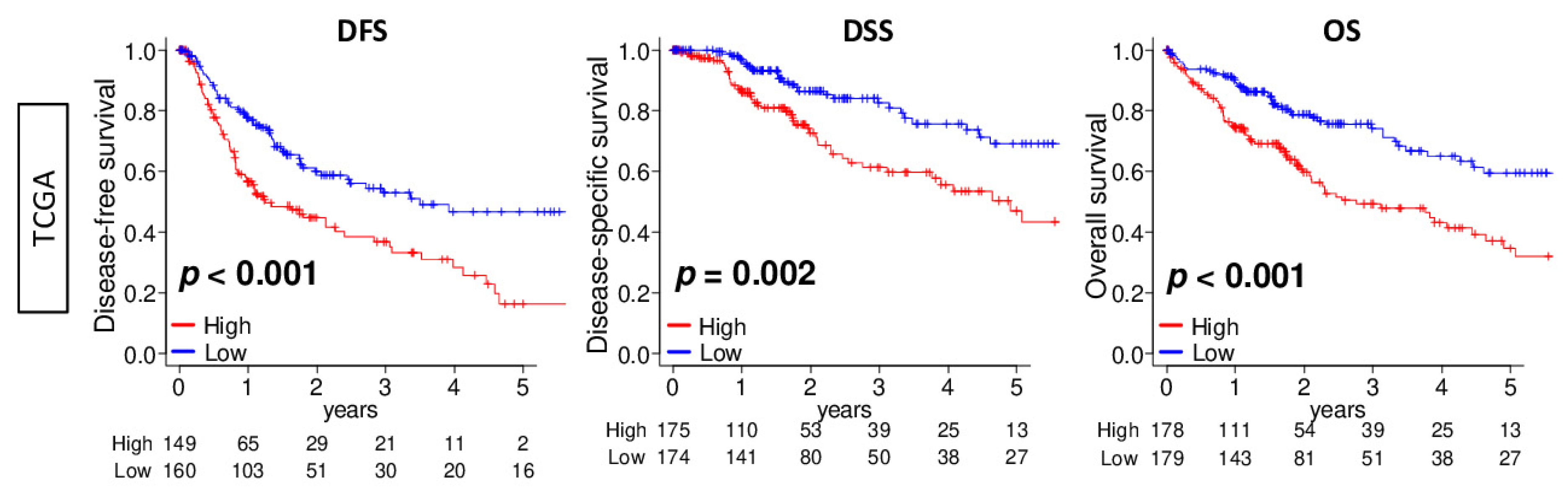 Cancers 13 00323 g002 Cancers 13 00323 g002