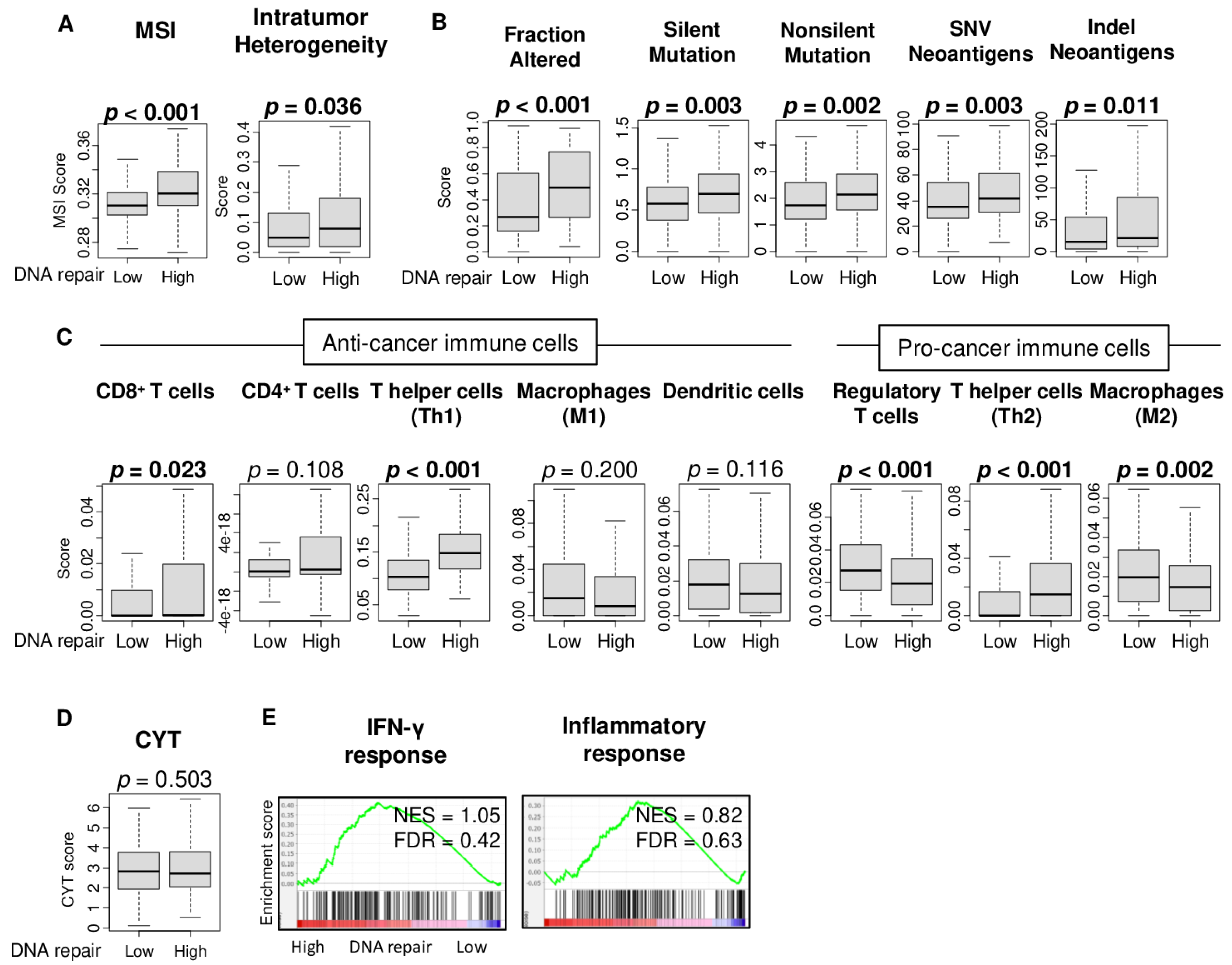 Cancers 13 00323 g003 Cancers 13 00323 g003