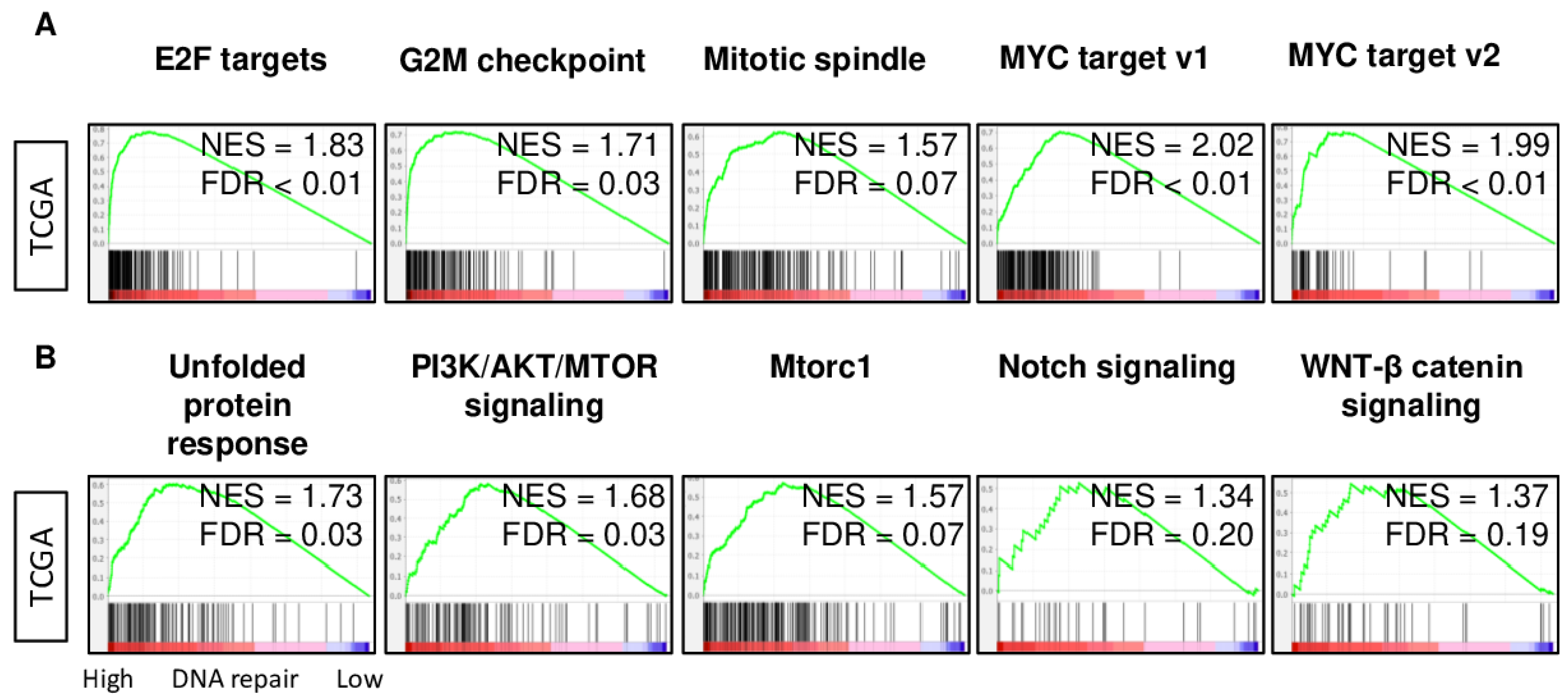 Cancers 13 00323 g004 Cancers 13 00323 g004