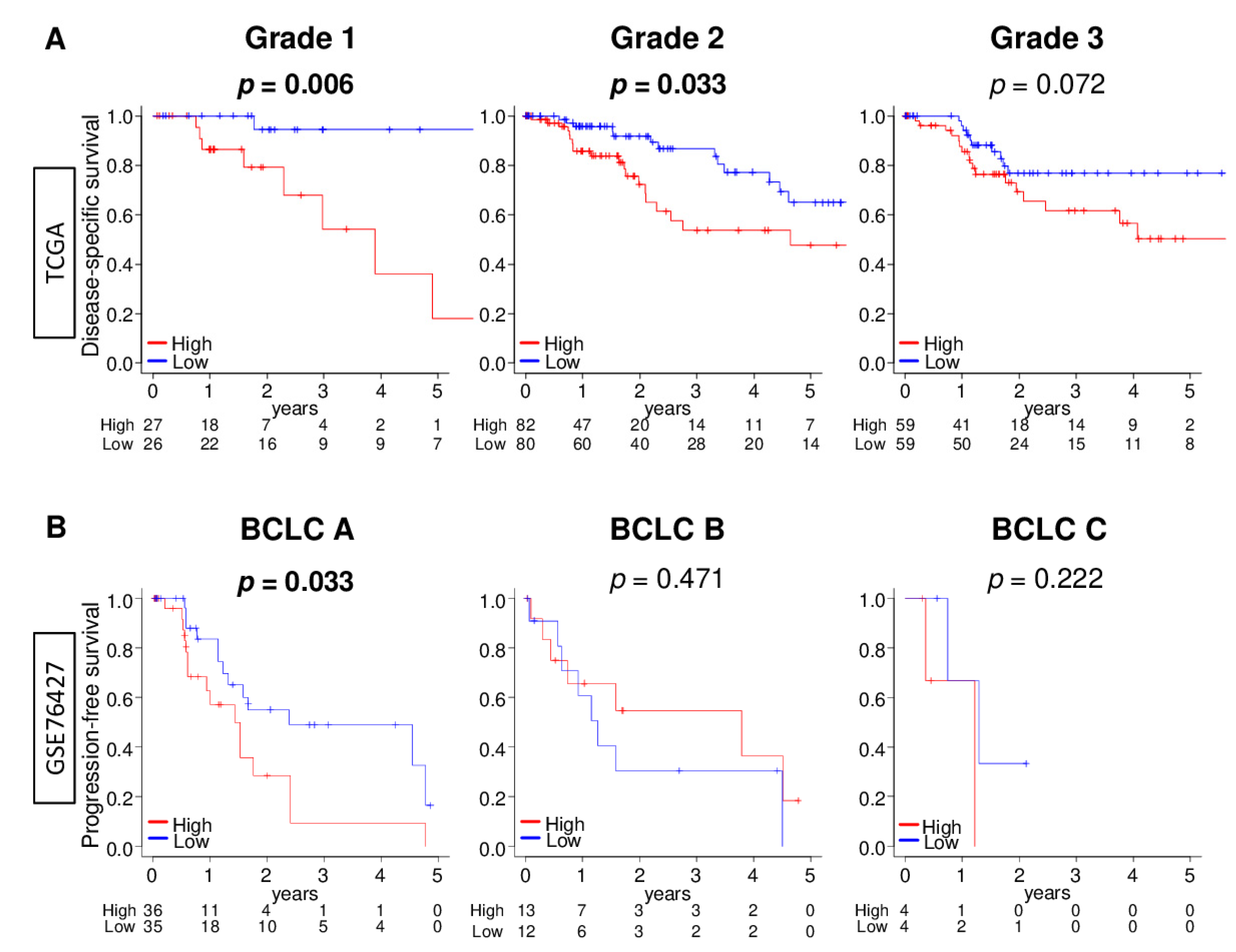Cancers 13 00323 g007 Cancers 13 00323 g007