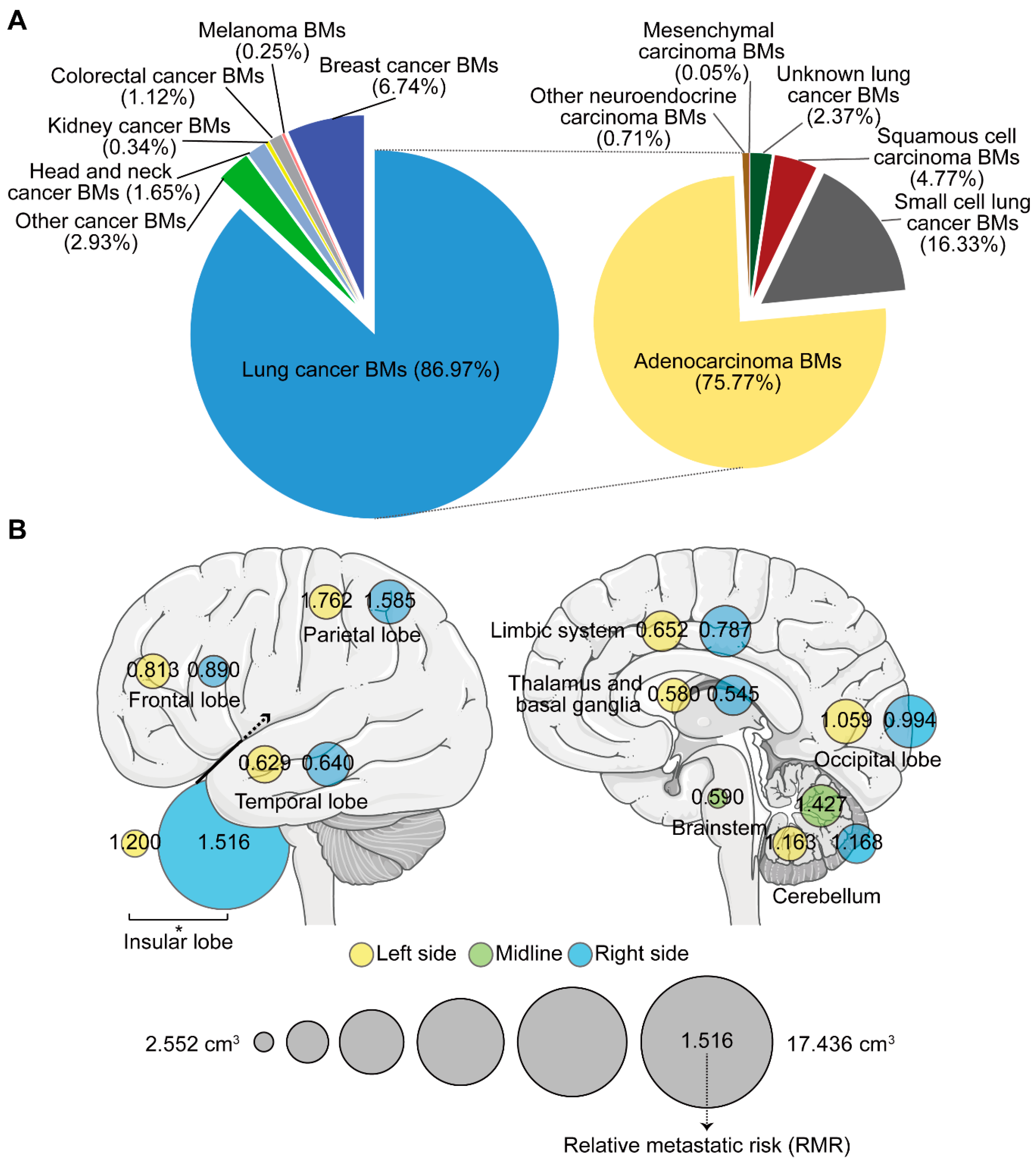 Cancers 13 00324 g002 Cancers 13 00324 g002