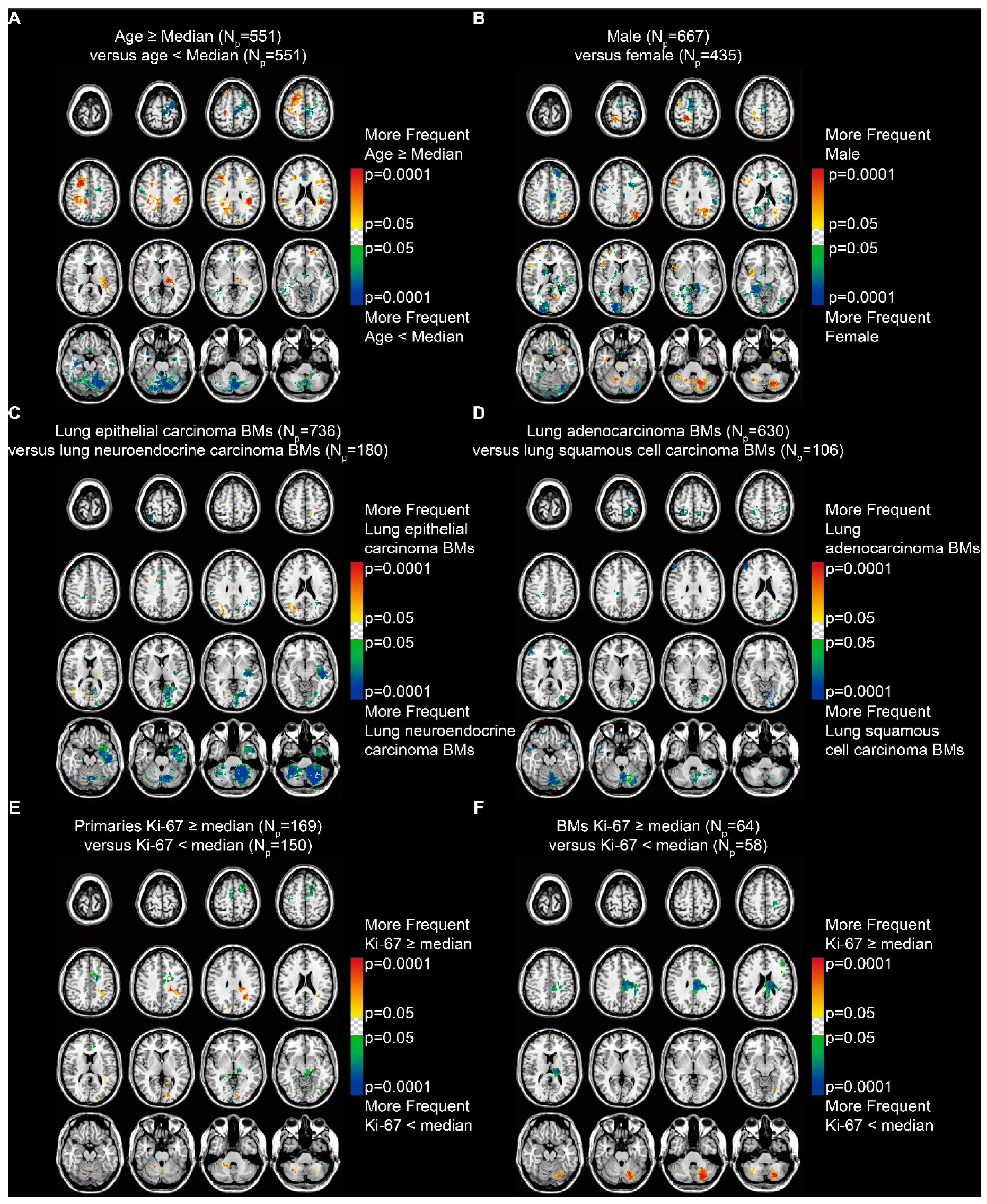 Cancers 13 00324 g004 Cancers 13 00324 g004