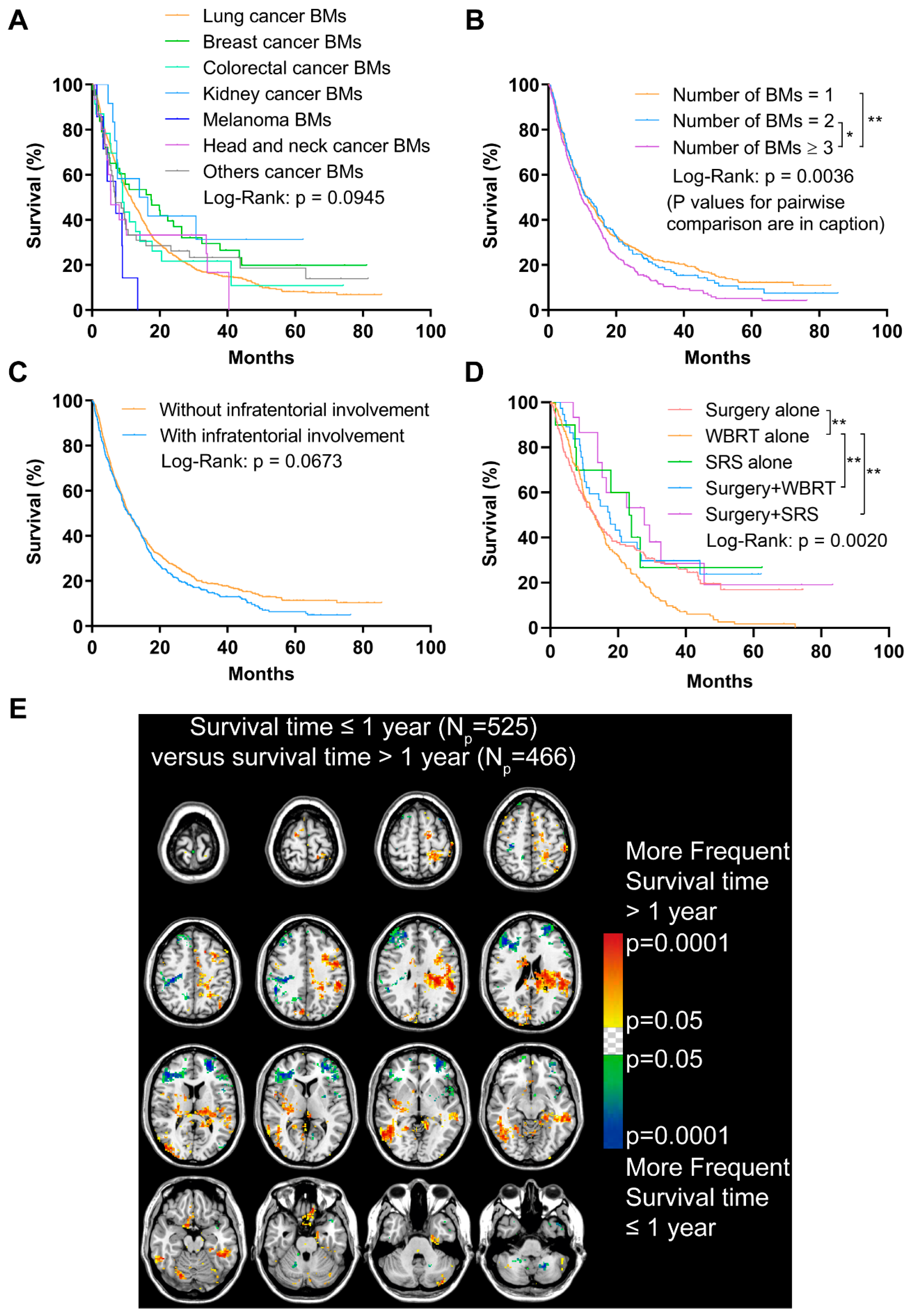 Cancers 13 00324 g005 Cancers 13 00324 g005