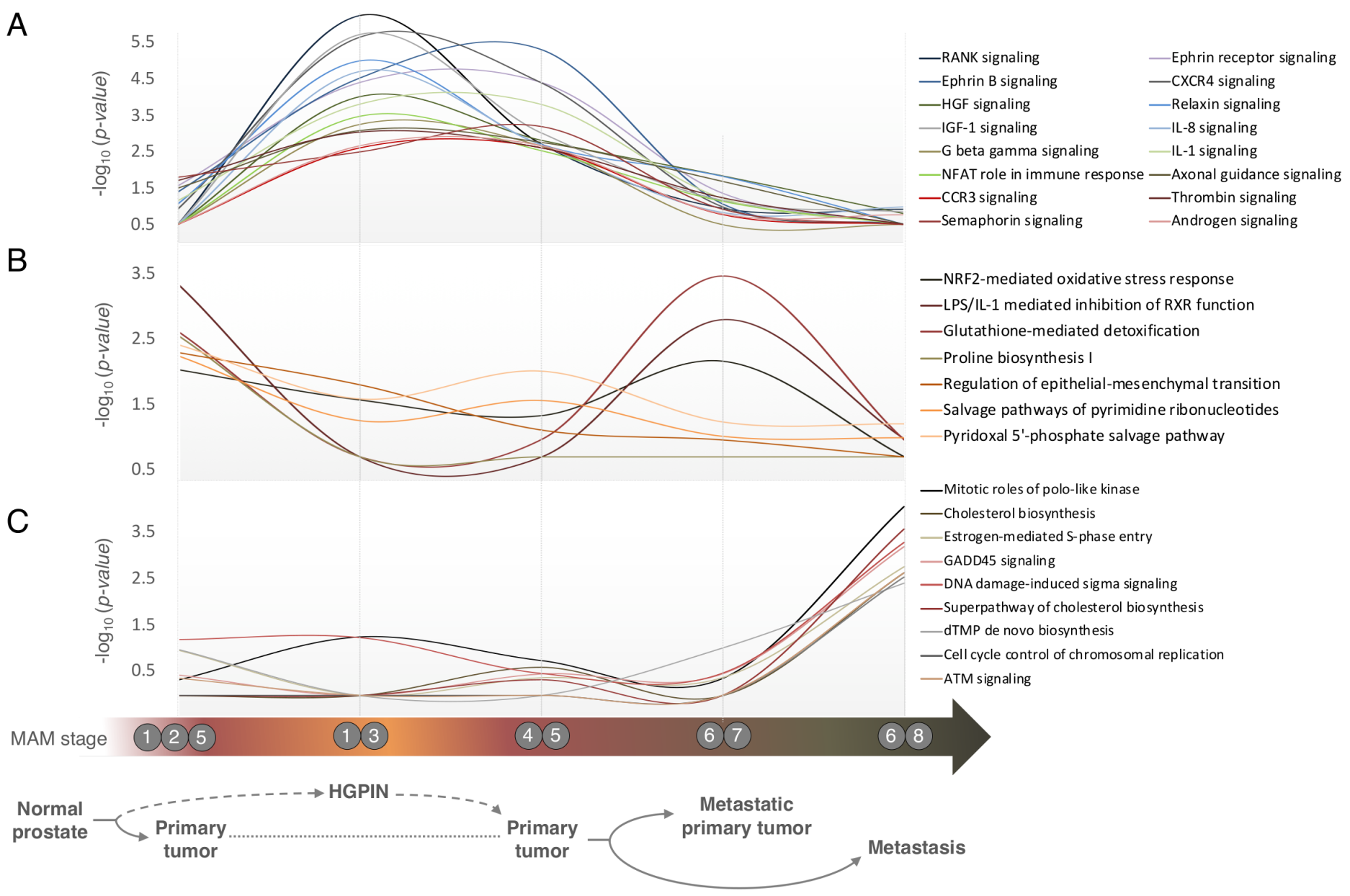 Cancers 13 00345 g005
