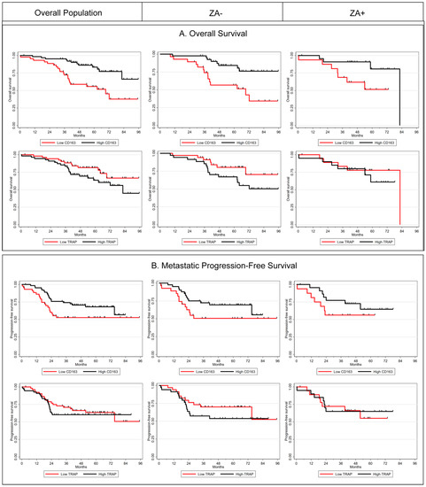 Macrophage cell counts (cells per mm2) in biopsy and tumour resection