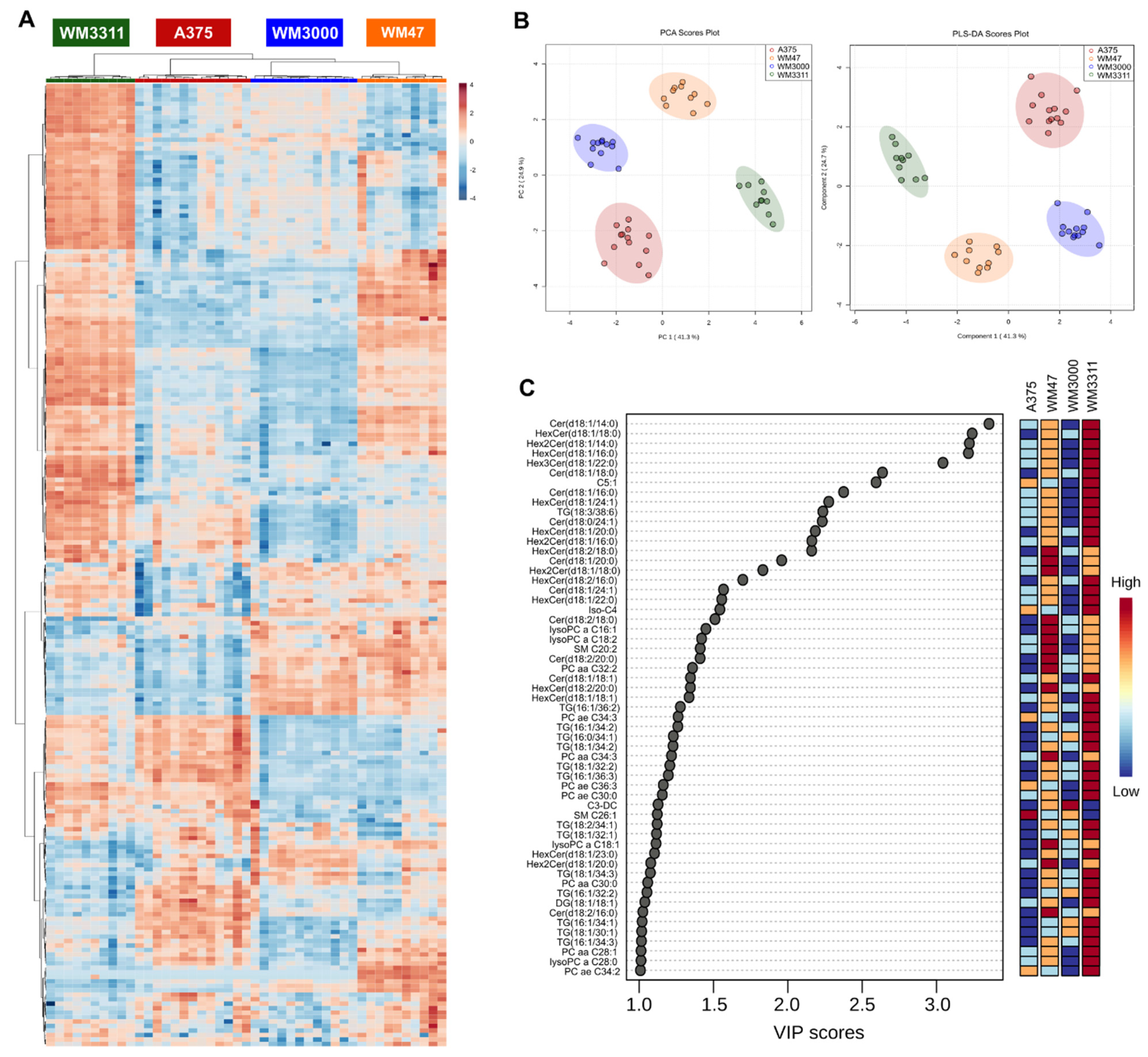 Cancers 13 00434 g003