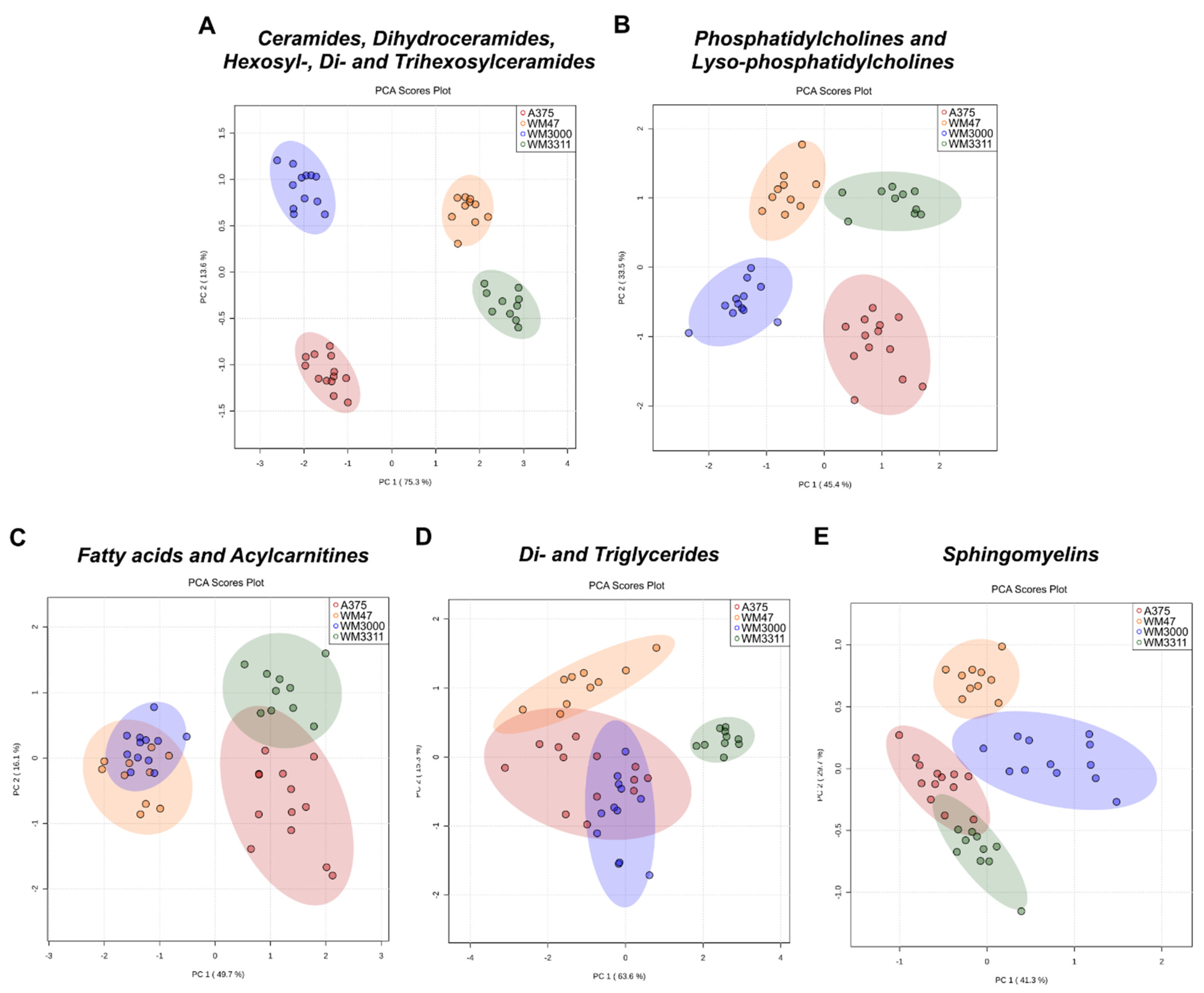 Cancers 13 00434 g004