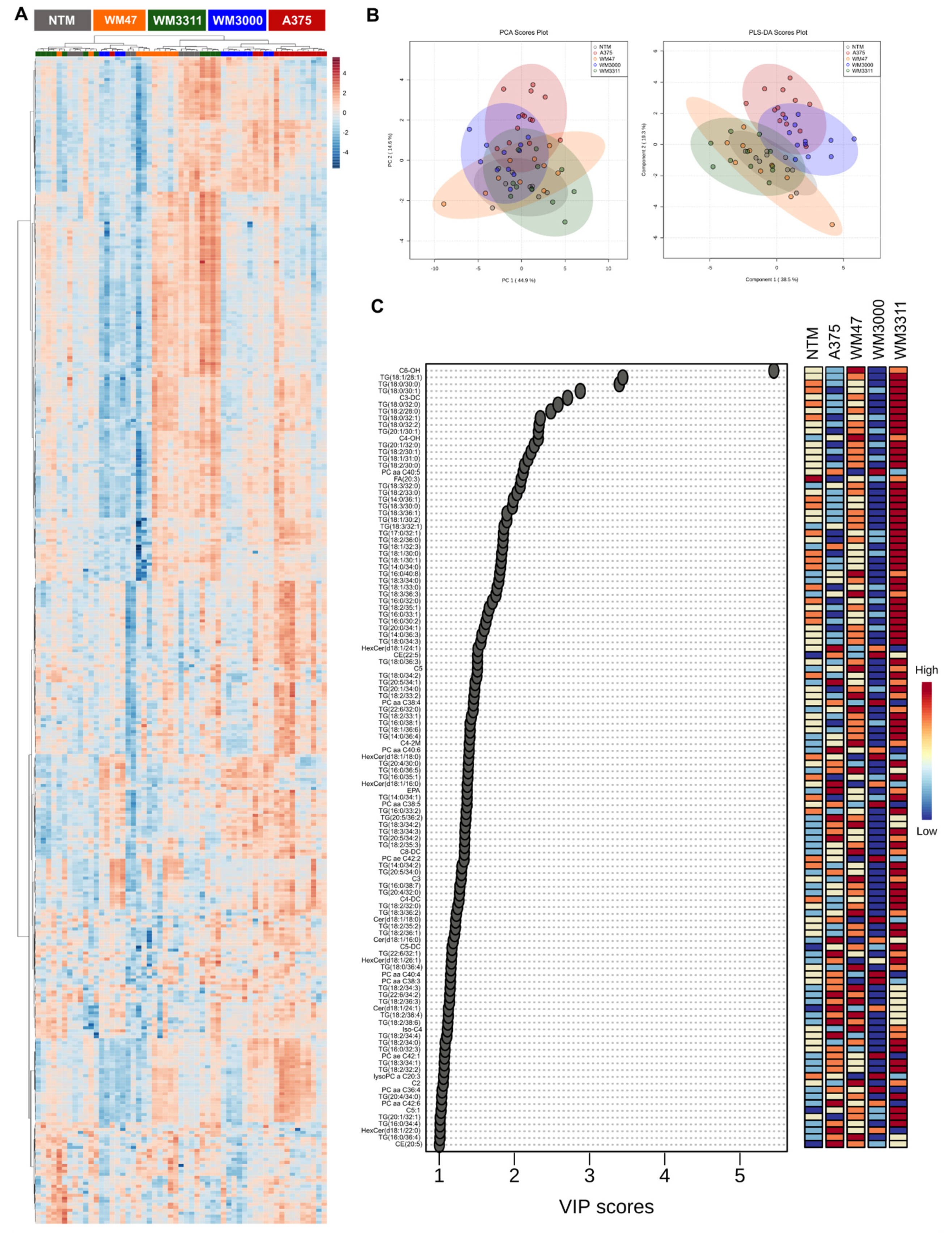 Cancers 13 00434 g007