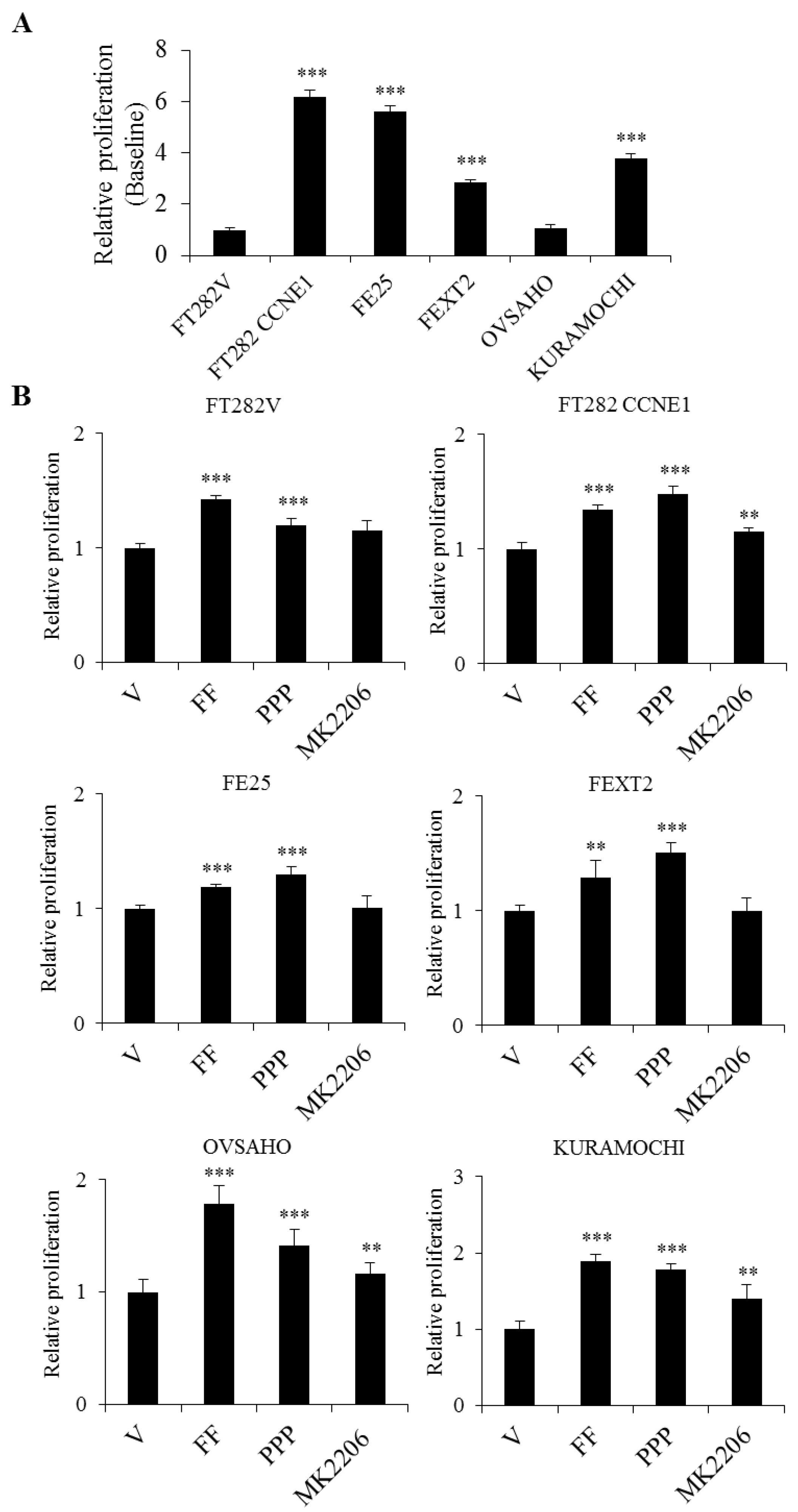 Cancers 13 00468 g003 Cancers 13 00468 g003