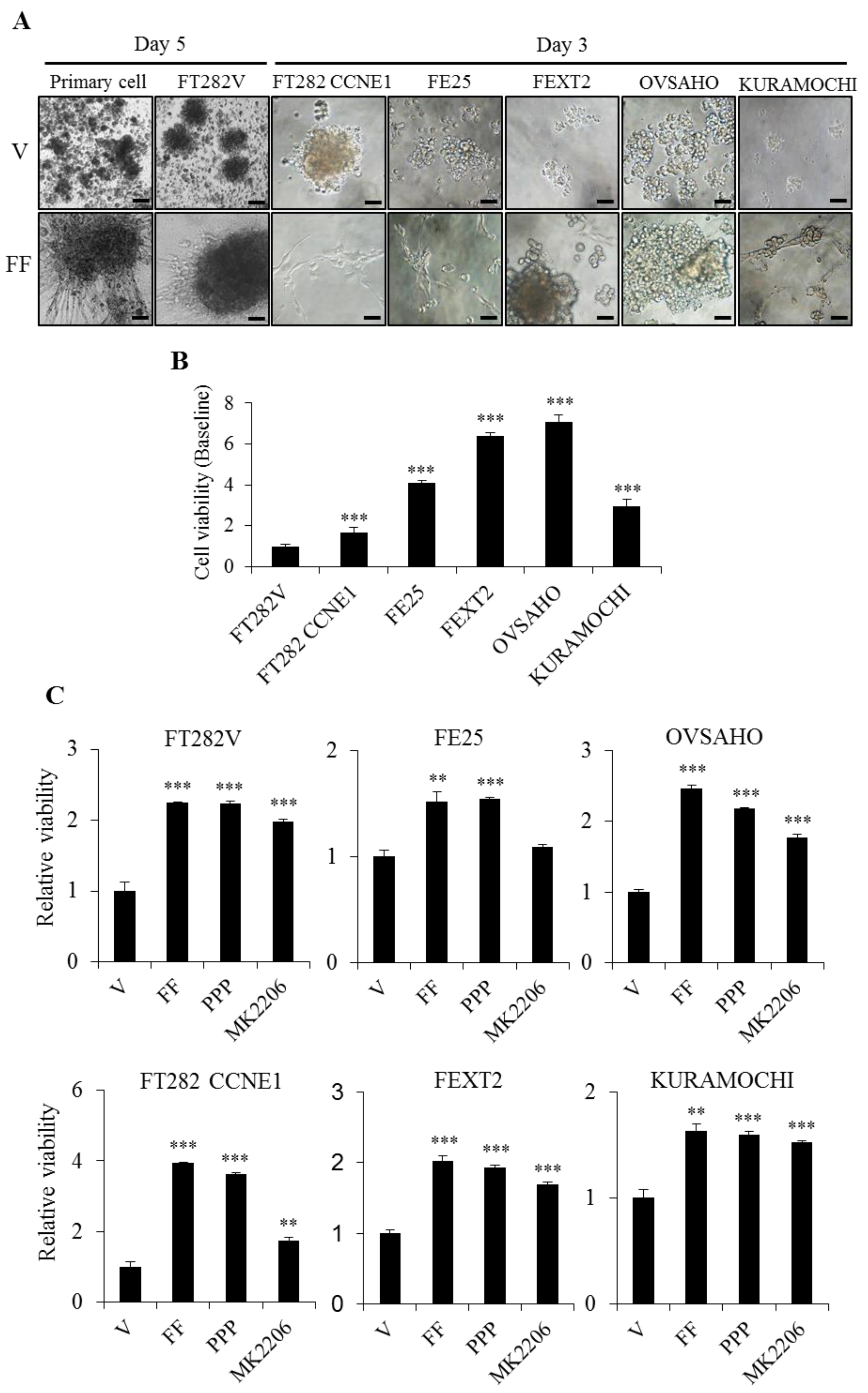 Cancers 13 00468 g004 Cancers 13 00468 g004