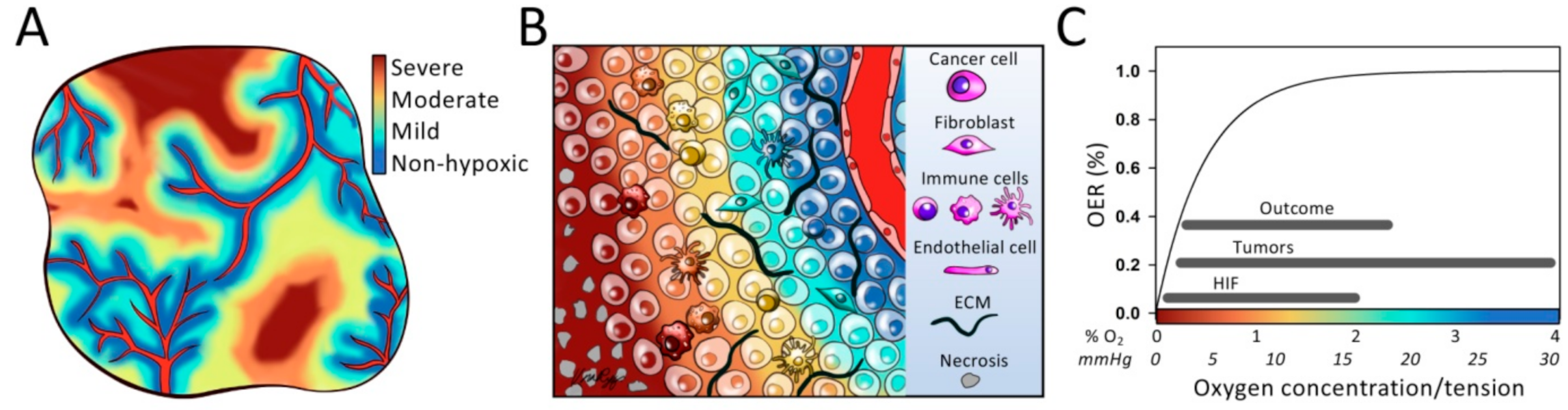 Cancers 13 00499 g001 Cancers 13 00499 g001