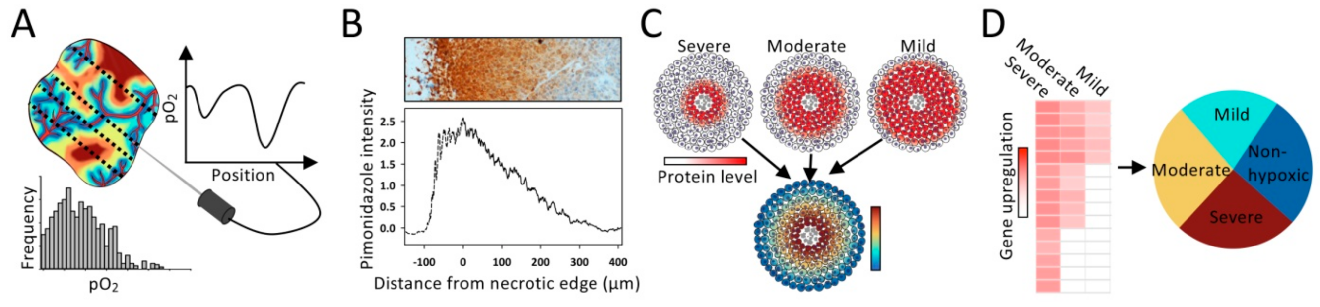 Cancers 13 00499 g003 Cancers 13 00499 g003