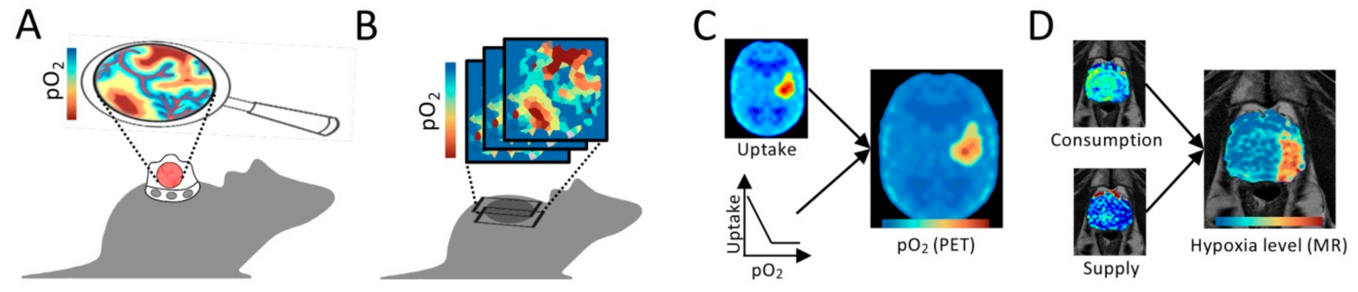 Cancers 13 00499 g004 Cancers 13 00499 g004
