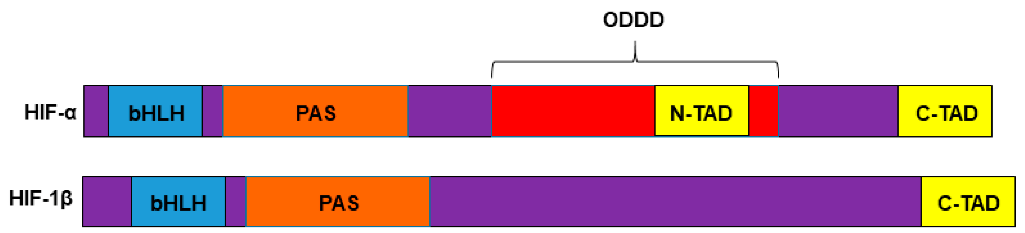 Cancers 13 00542 g001 Cancers 13 00542 g001