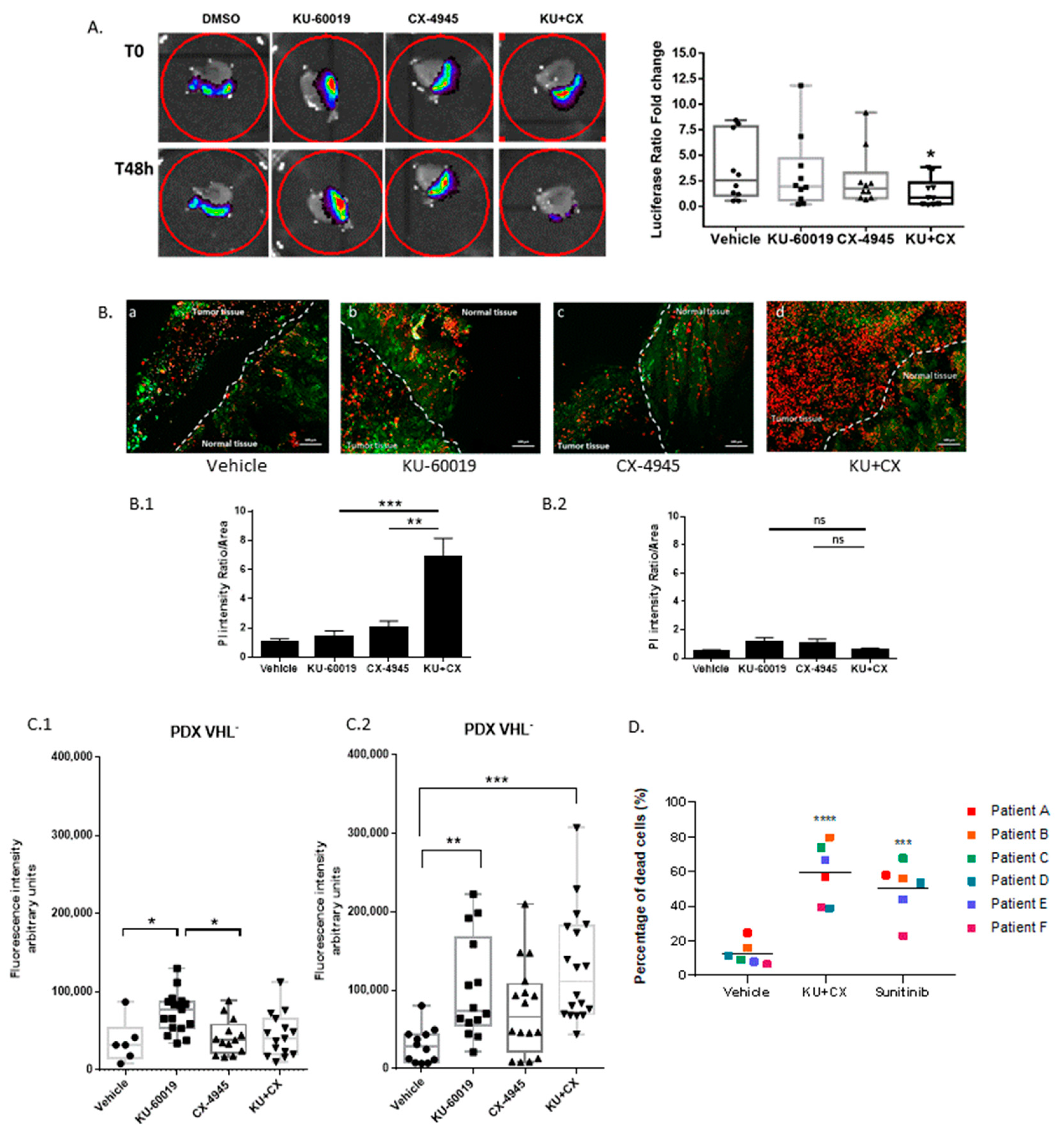 Cancers 13 00576 g007 Cancers 13 00576 g007