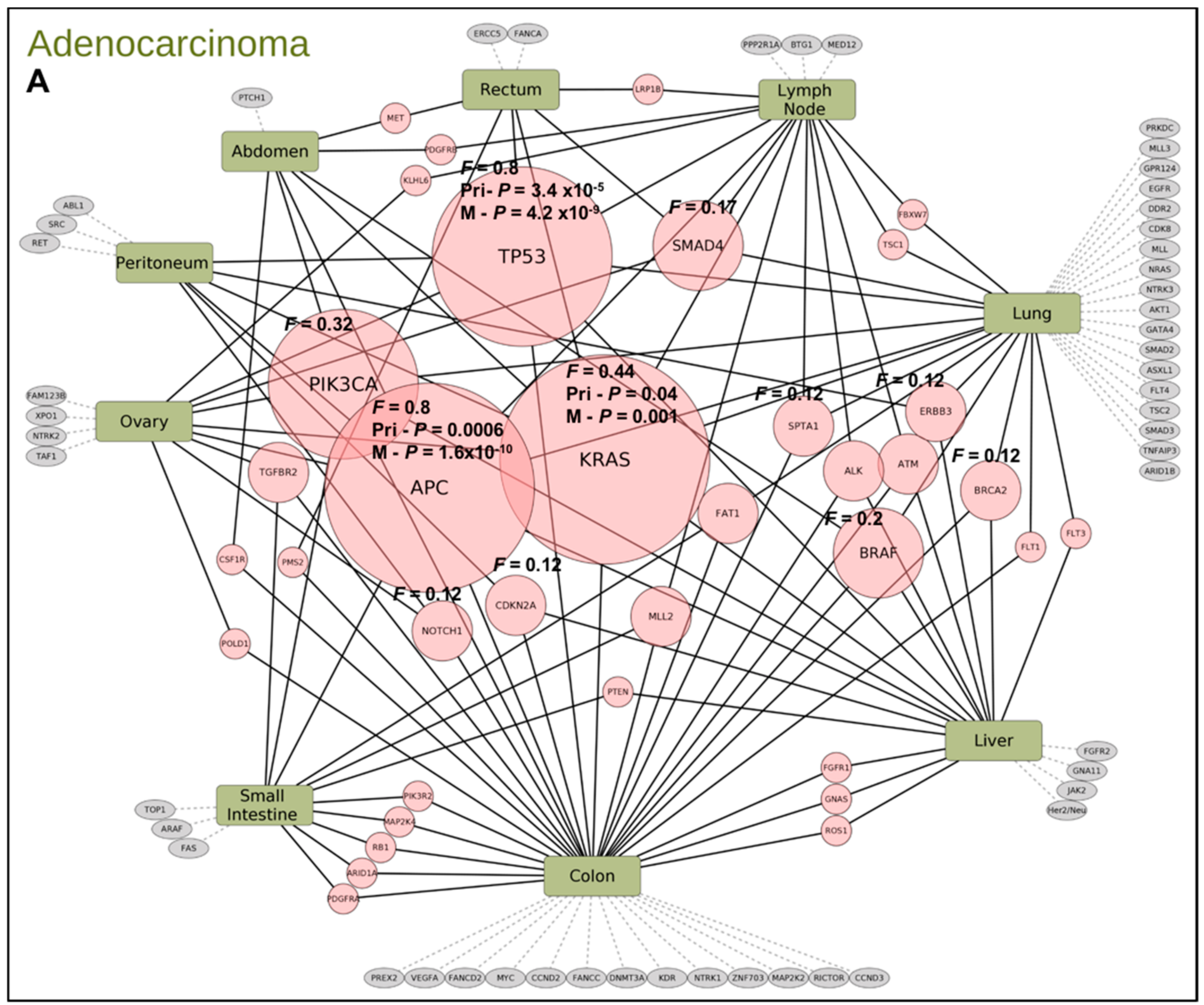 Cancers 13 00597 g004a Cancers 13 00597 g004a