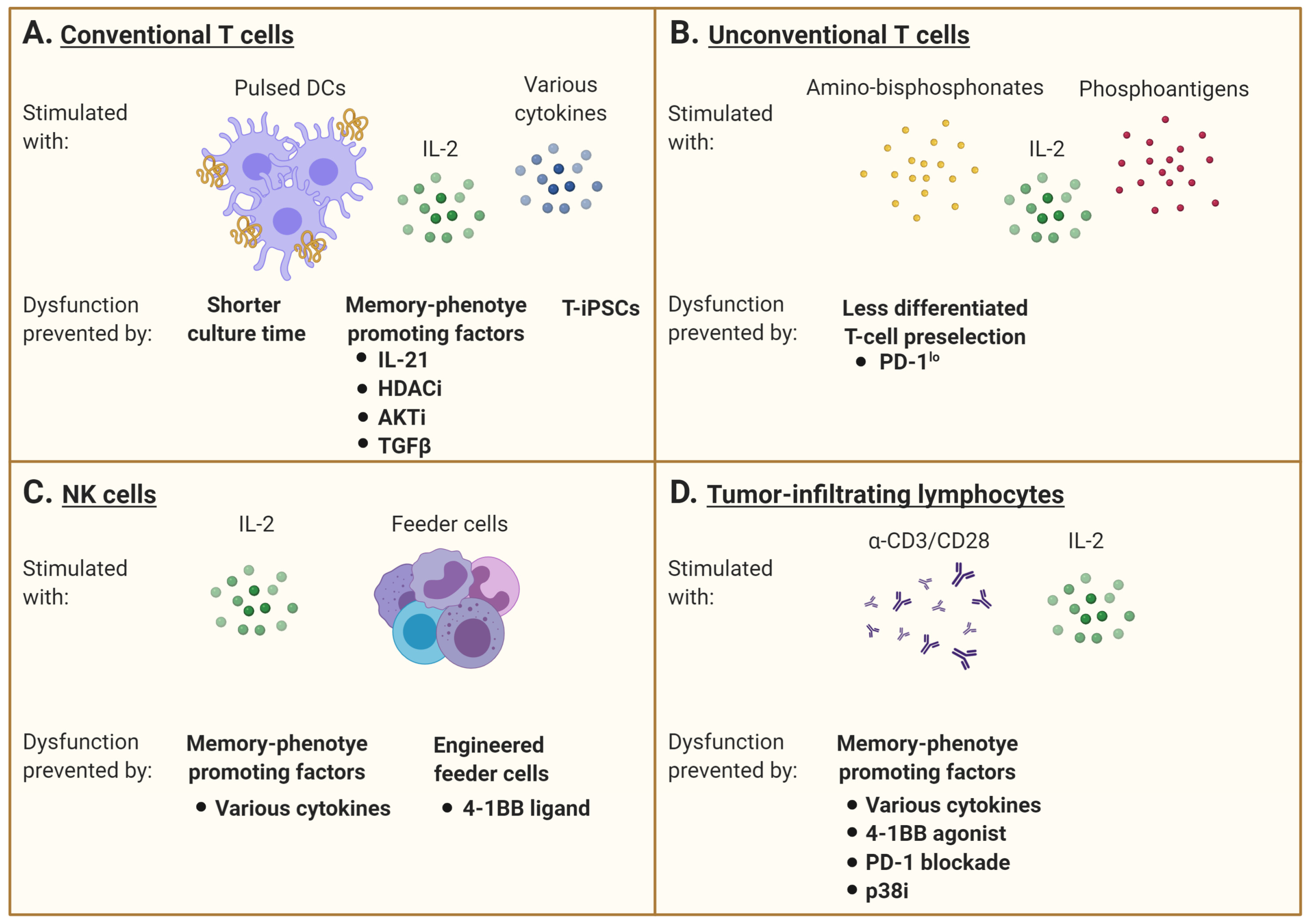 Cancers 13 00598 g002 Cancers 13 00598 g002