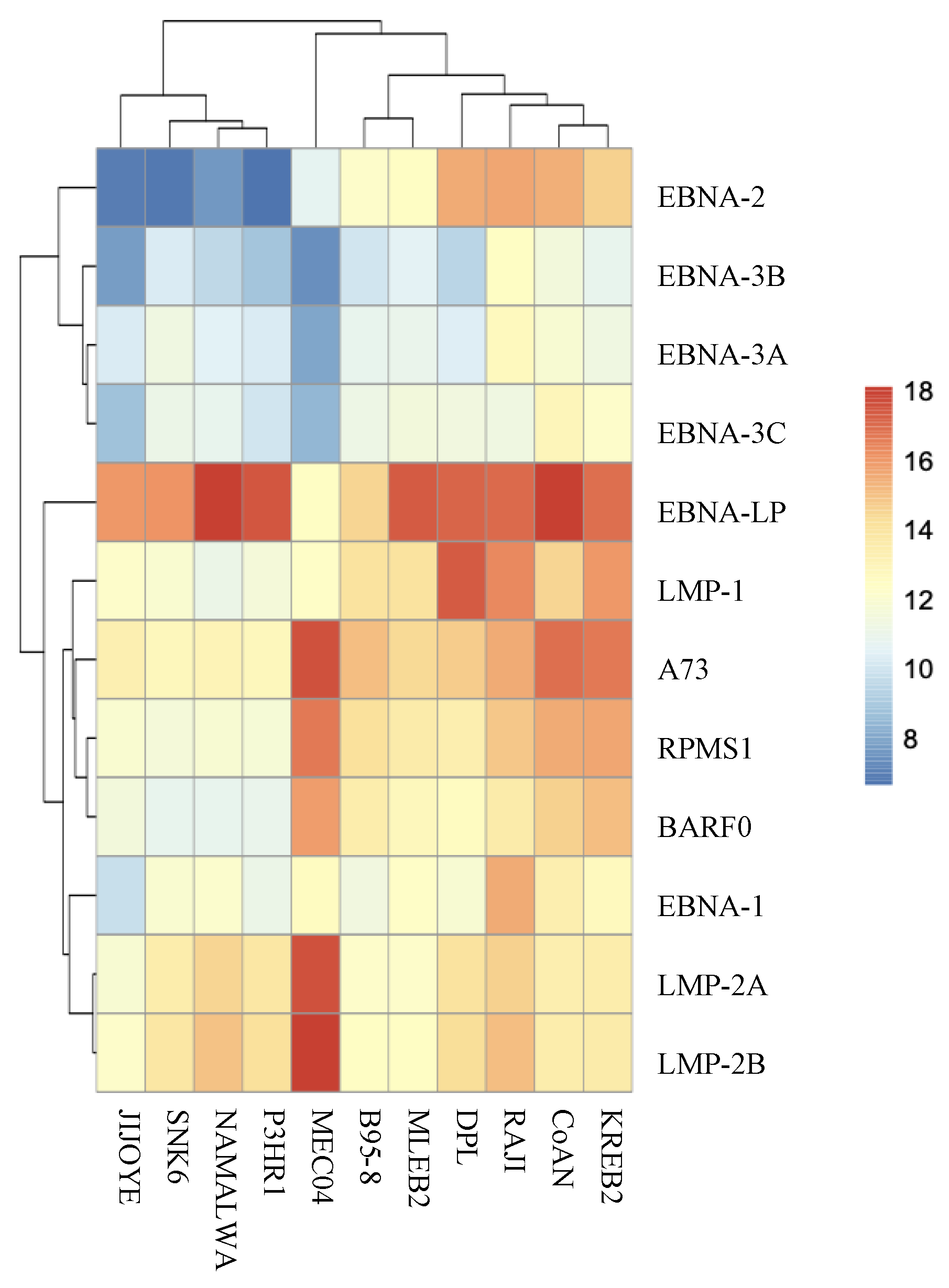 Cancers 13 00610 g005 Cancers 13 00610 g005
