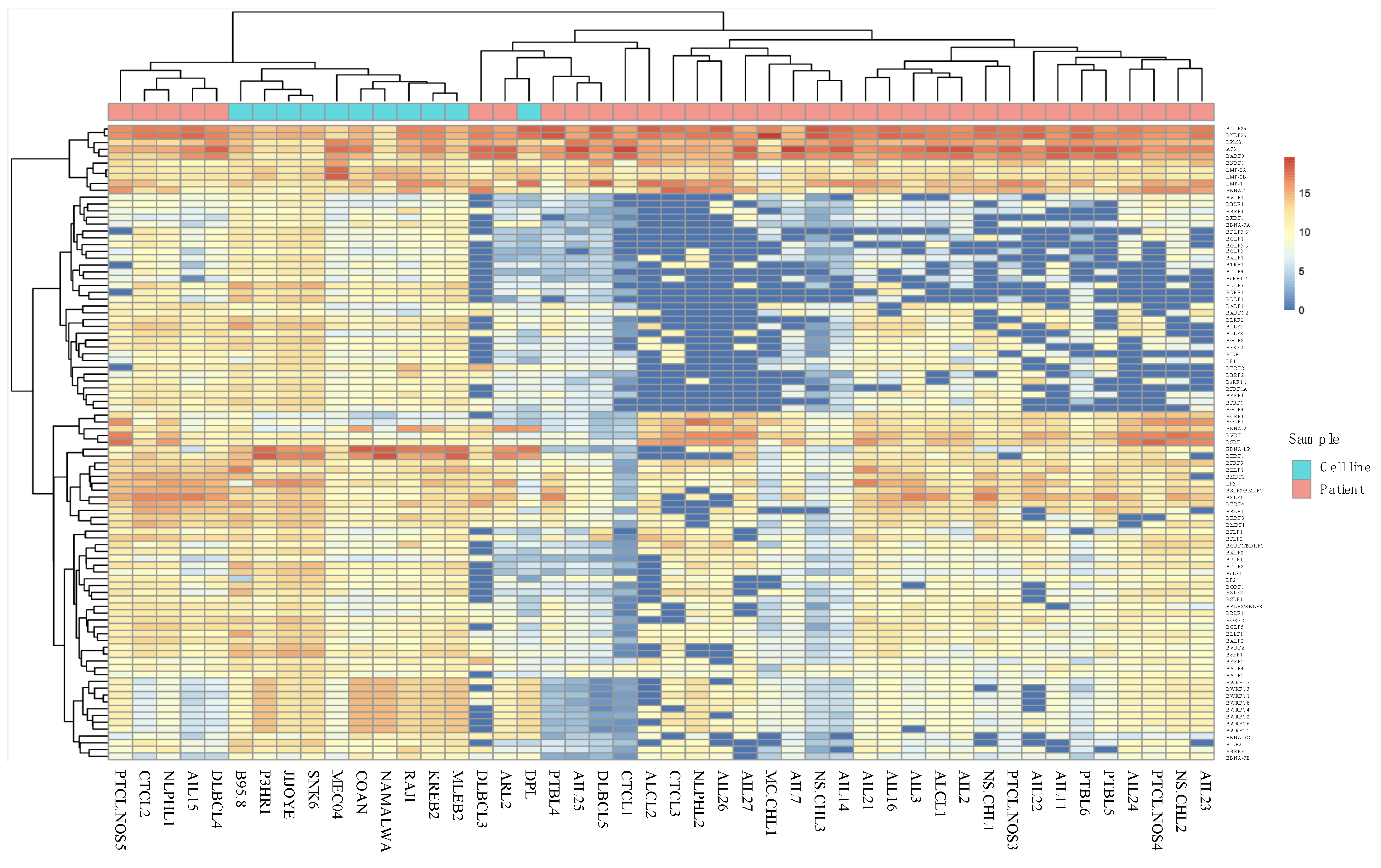 Cancers 13 00610 g006 Cancers 13 00610 g006