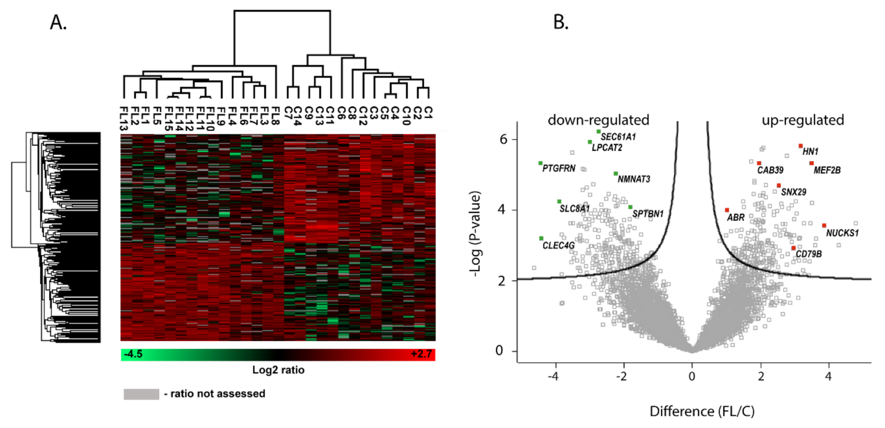 Cancers | Free Full-Text | Large-Scale Proteomic Analysis of Follicular  Lymphoma Reveals Extensive Remodeling of Cell Adhesion Pathway and  Identifies Hub Proteins Related to the Lymphomagenesis | HTML