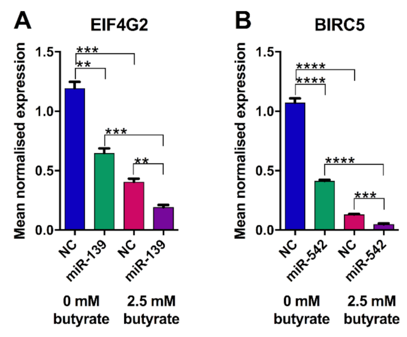 Cancers 13 00636 g012