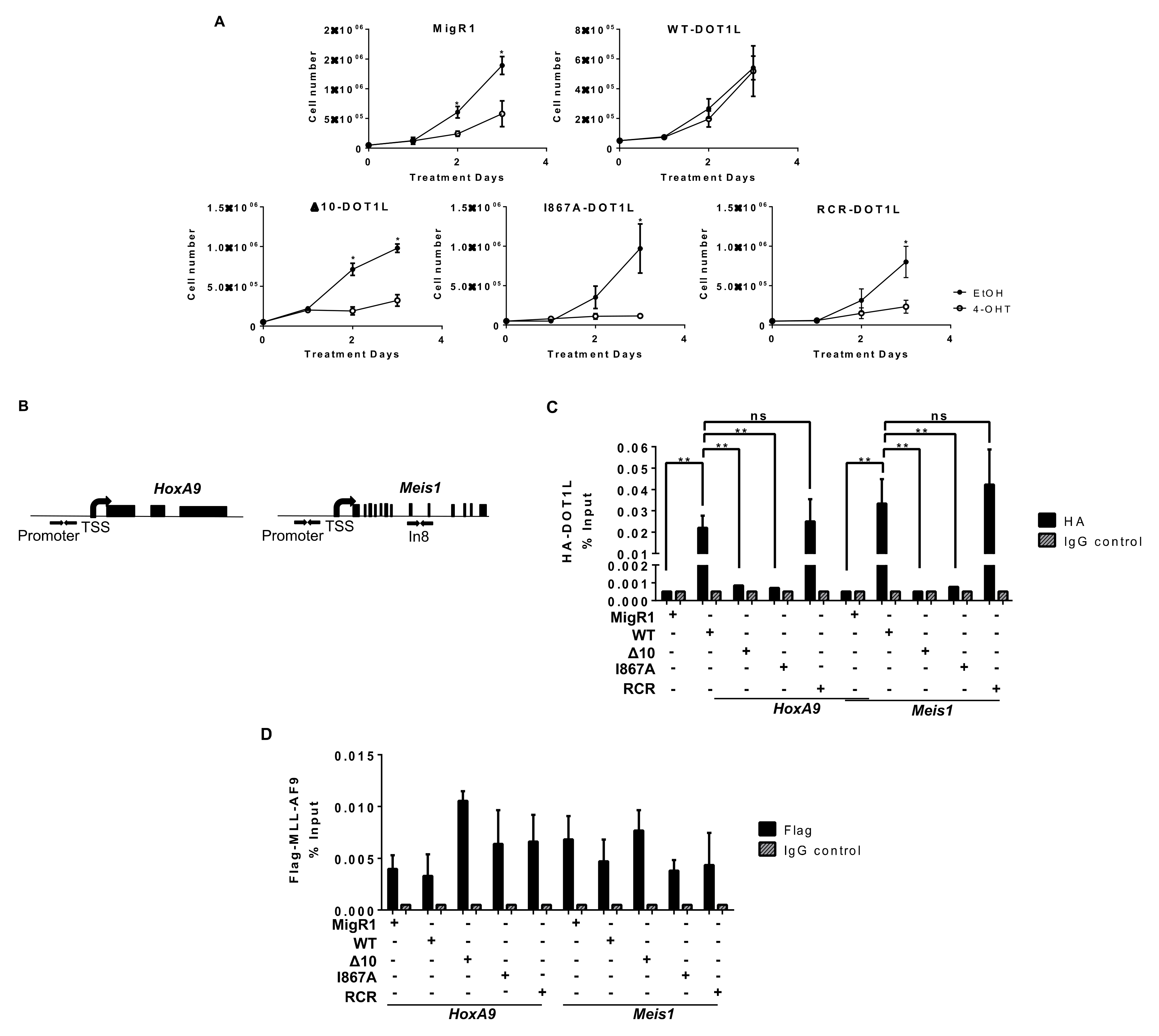 Cancers 13 00642 g002