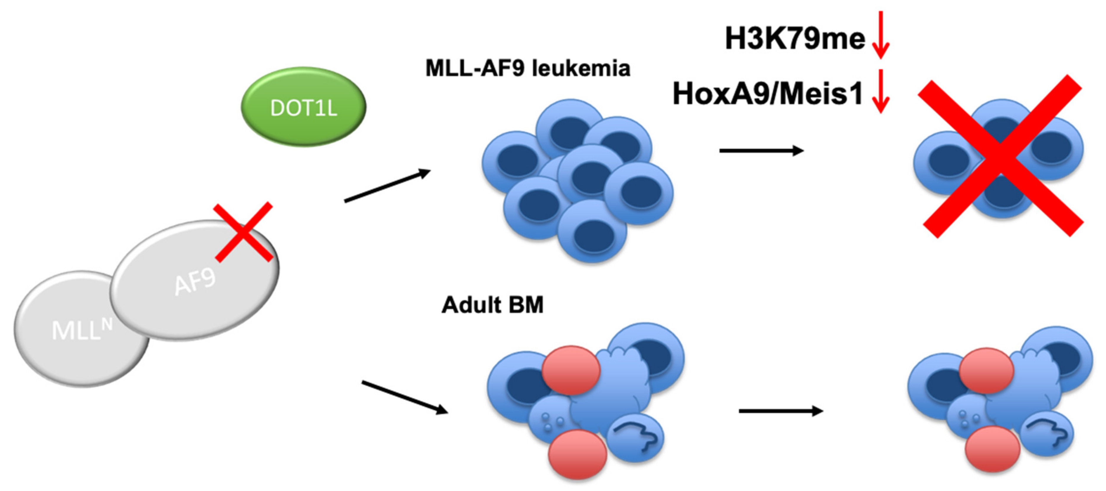 Cancers 13 00642 g006