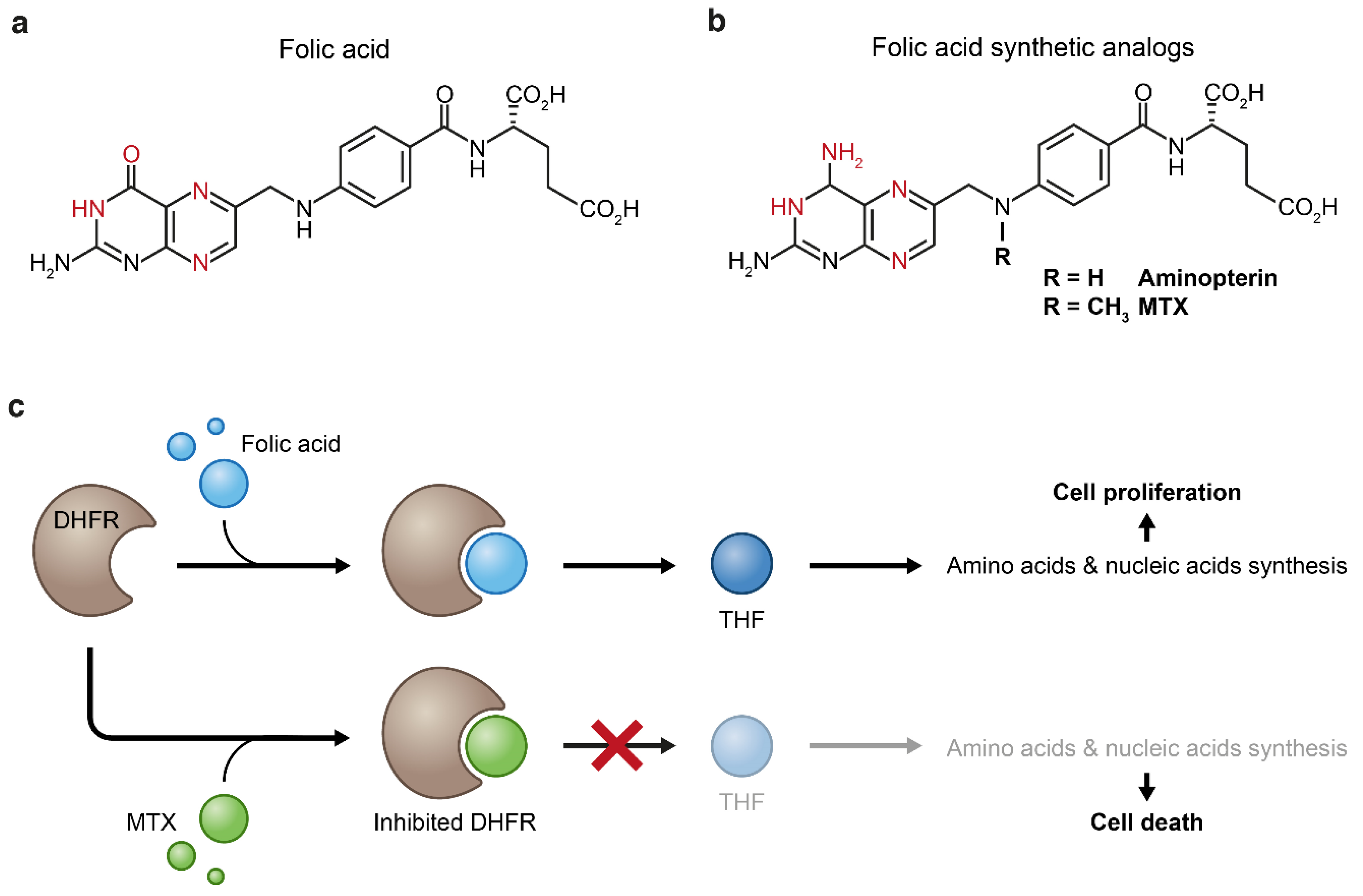 Cancers 13 00669 g004