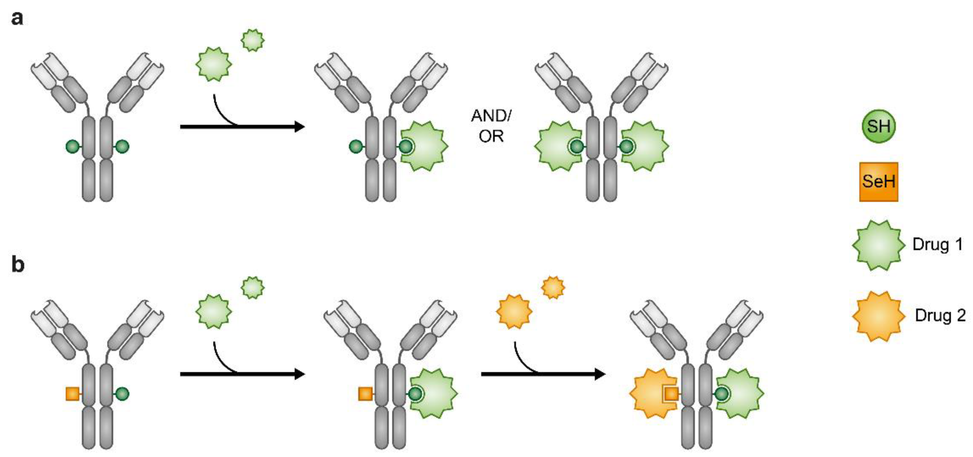 Cancers | Free Full-Text | Drug Combination in Cancer Treatment—From ...