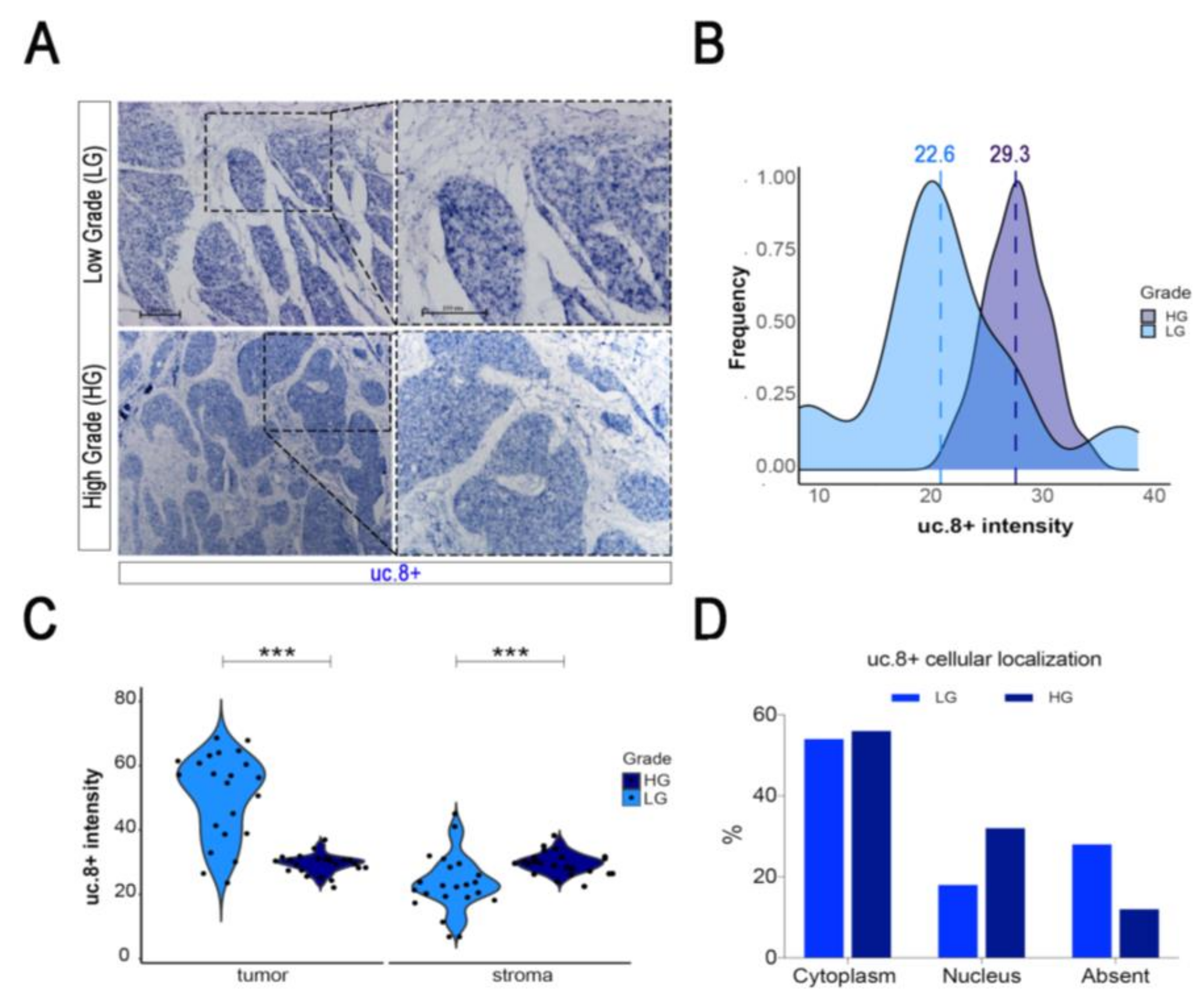Cancers 13 00681 g004