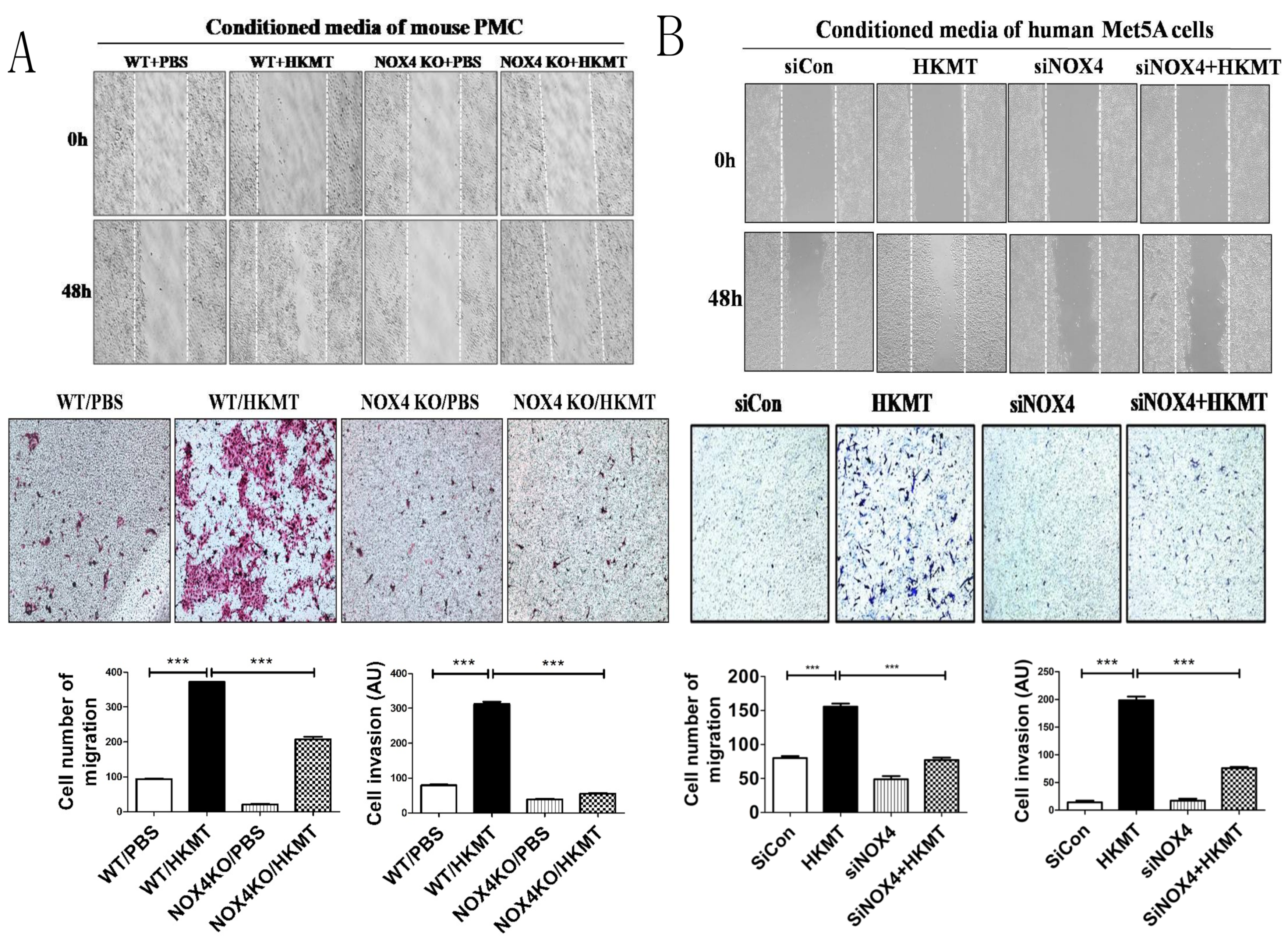 Cancers 13 00687 g002