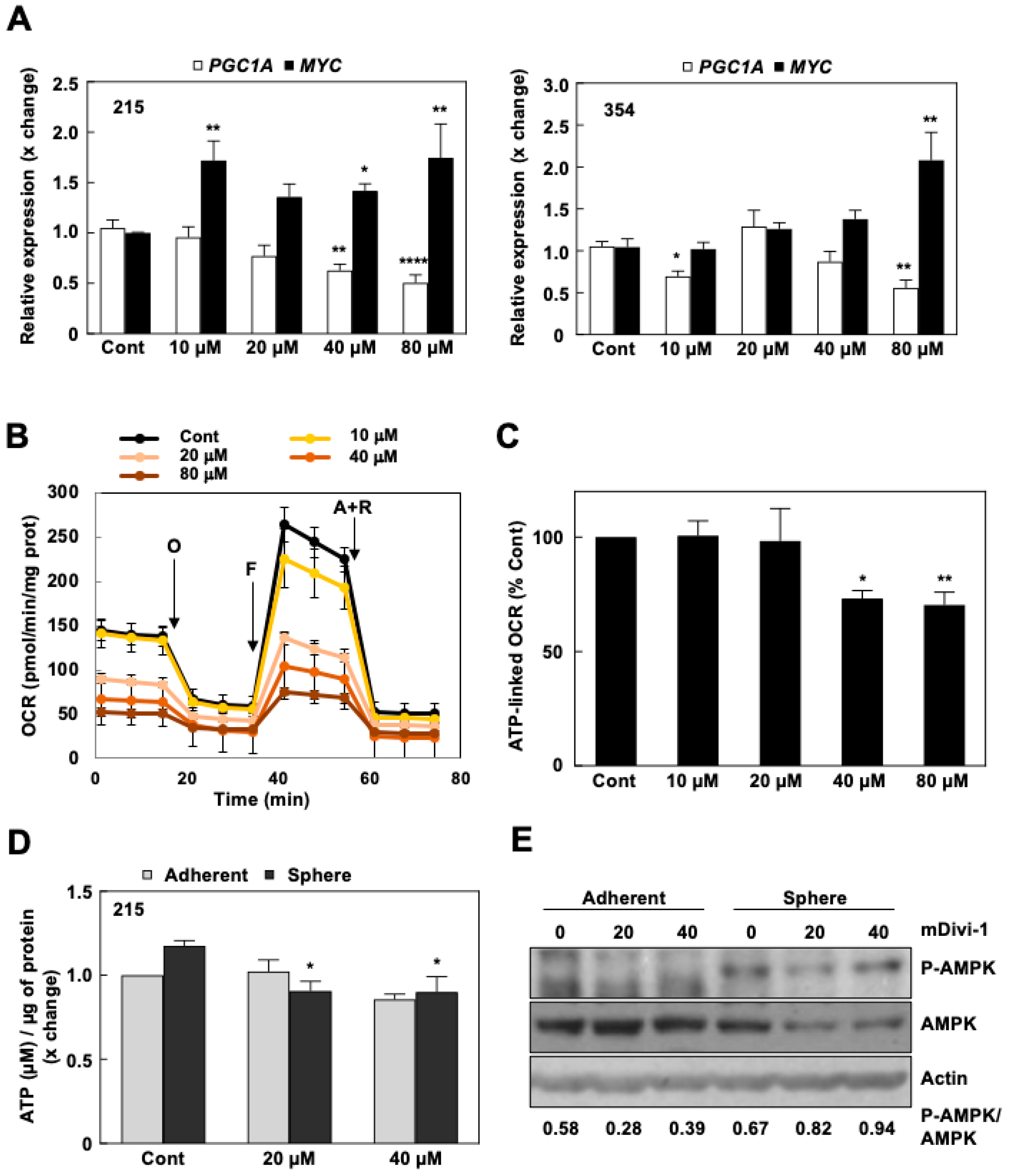Cancers 13 00698 g004