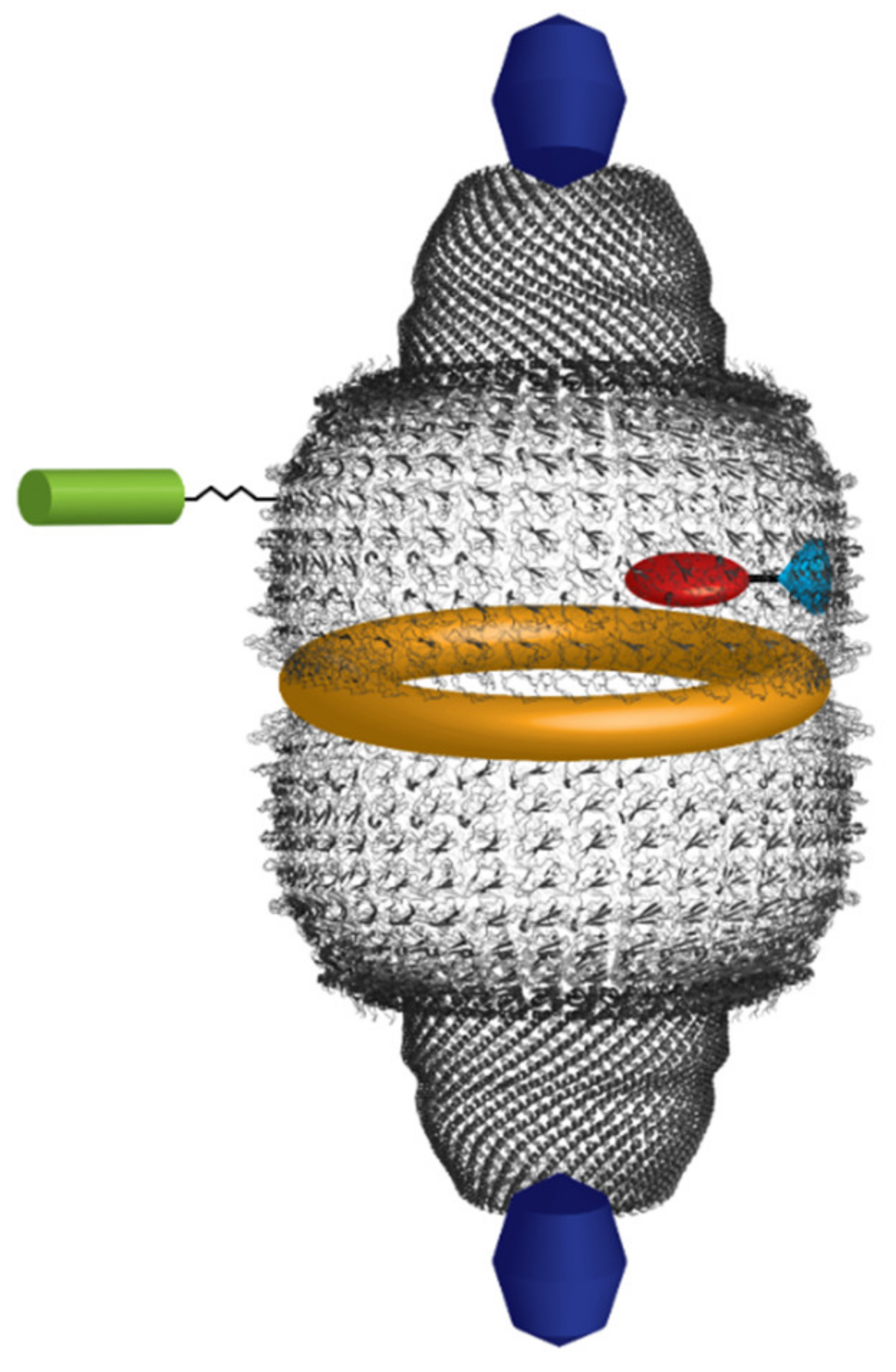 Cancers 13 00707 g003