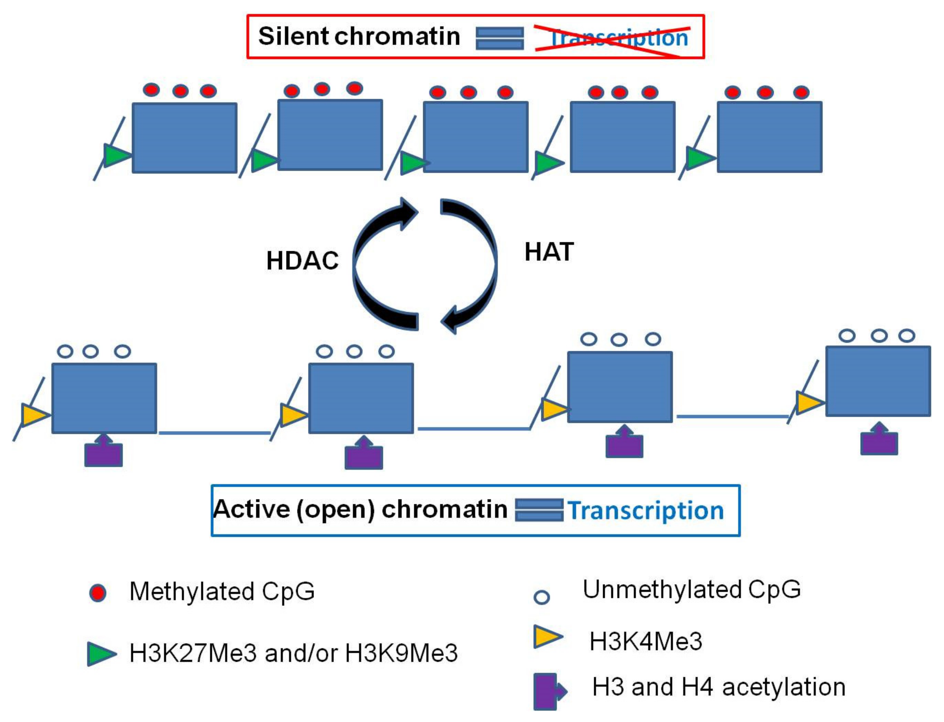Cancers 13 00713 g003