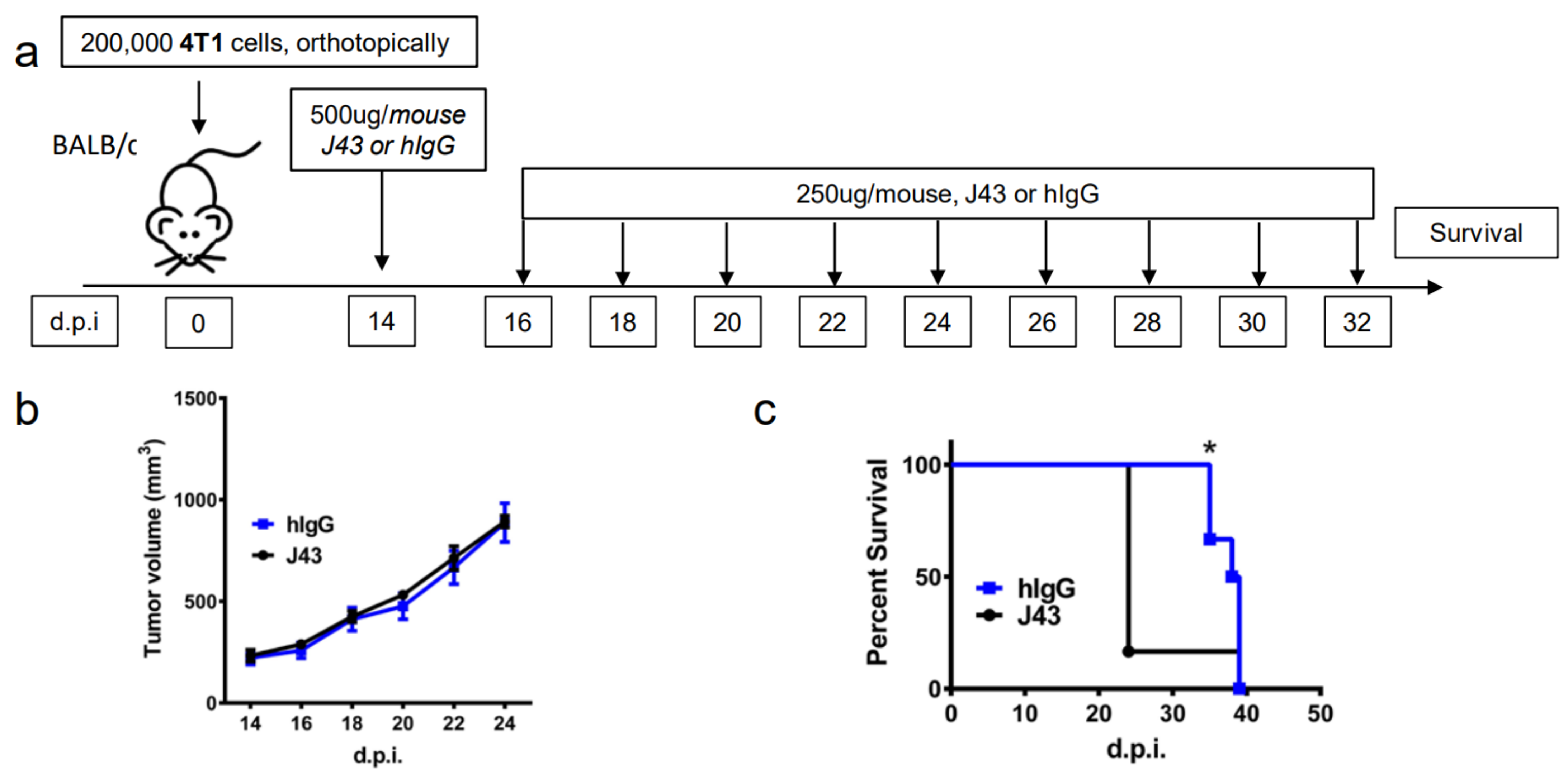 Cancers 13 00729 g001a Cancers 13 00729 g001a