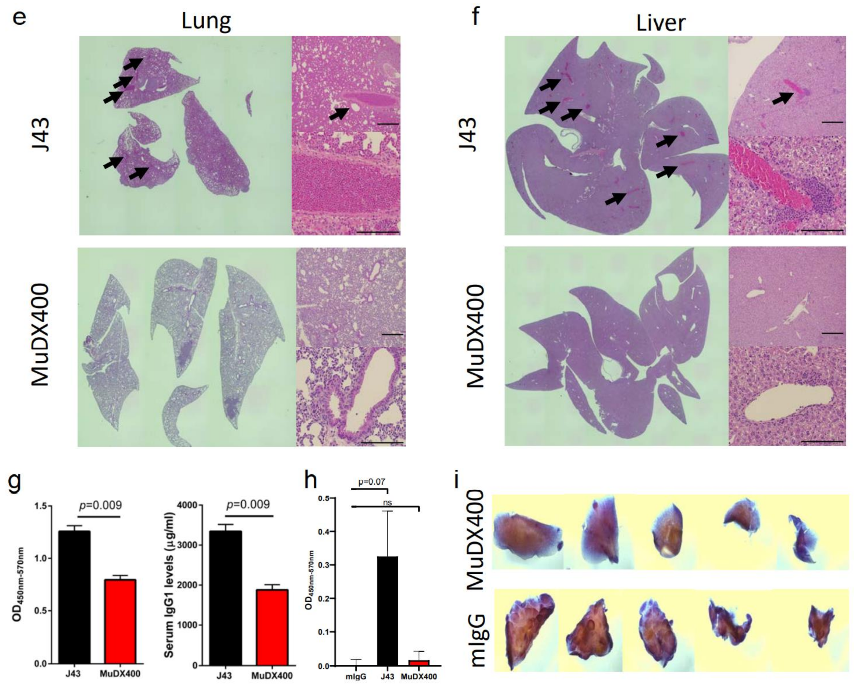 Cancers 13 00729 g002b Cancers 13 00729 g002b